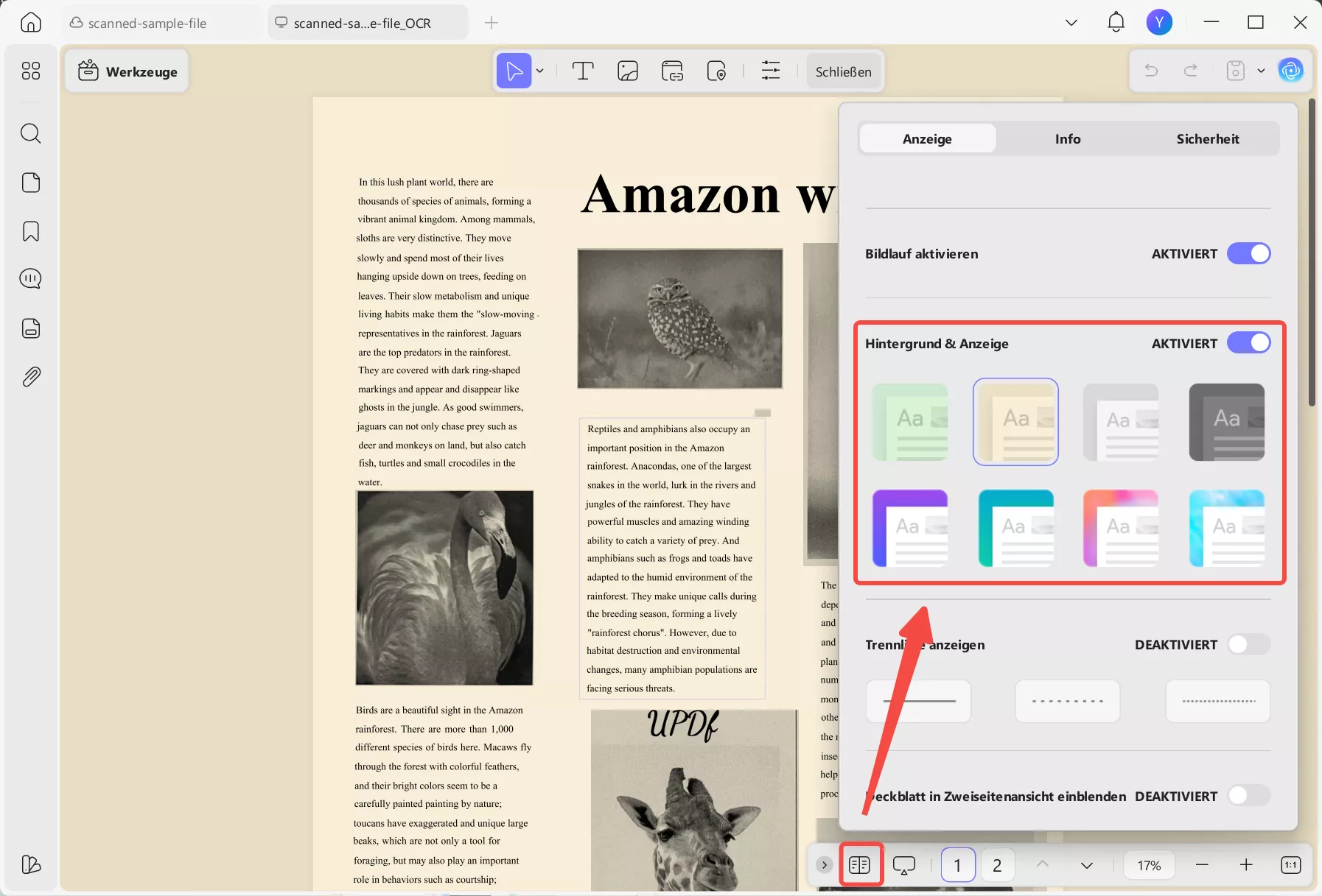 Hintergrund- und Anzeigeoptionen