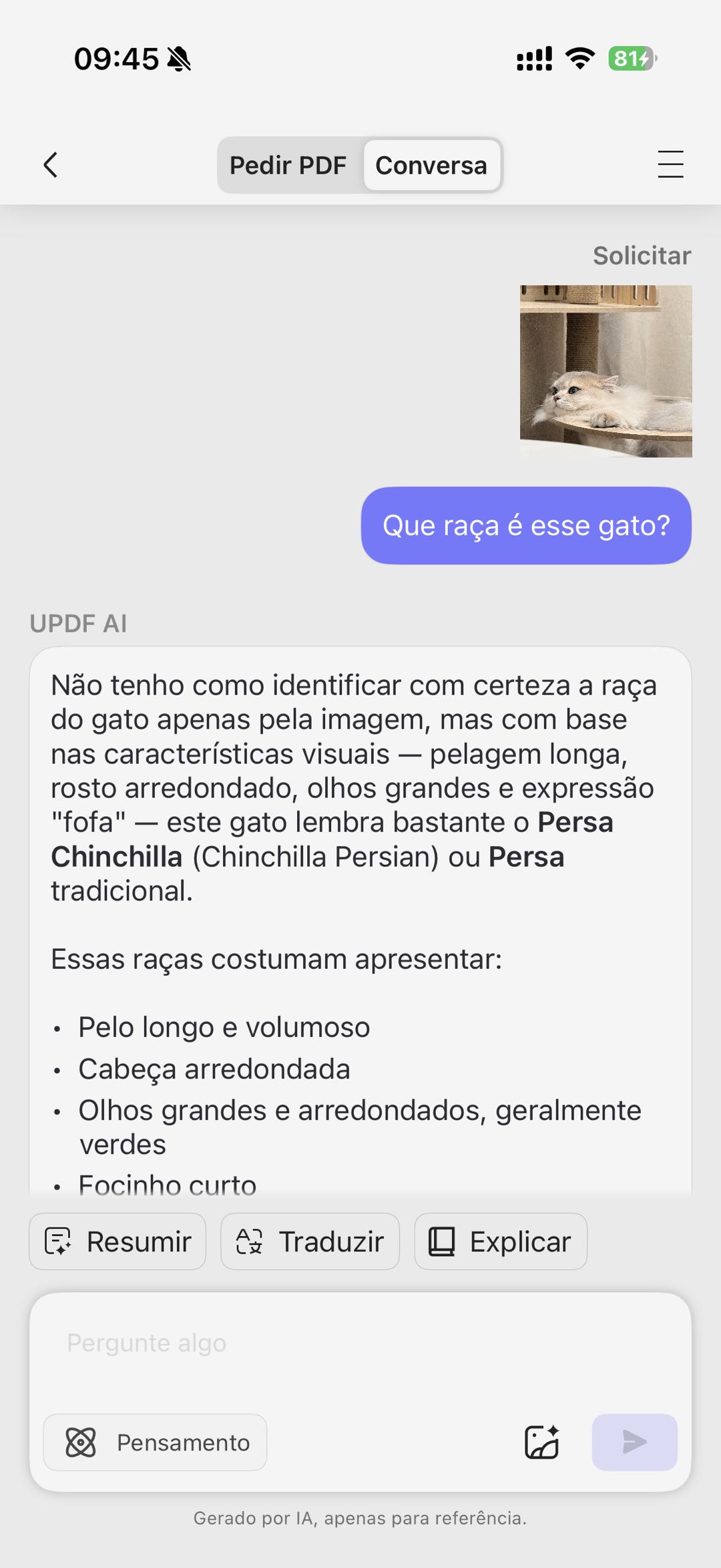 conversar com imagem updf ios
