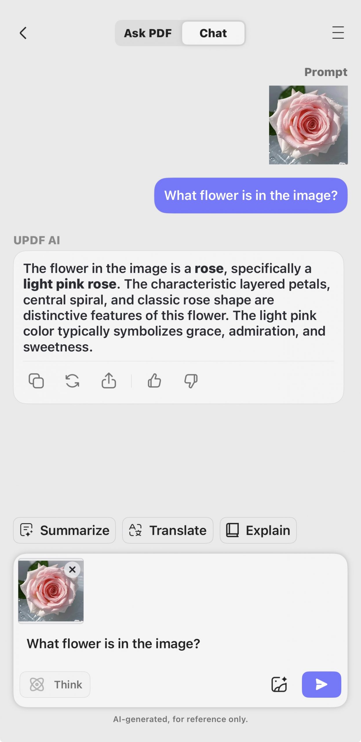 chat with image updf ios