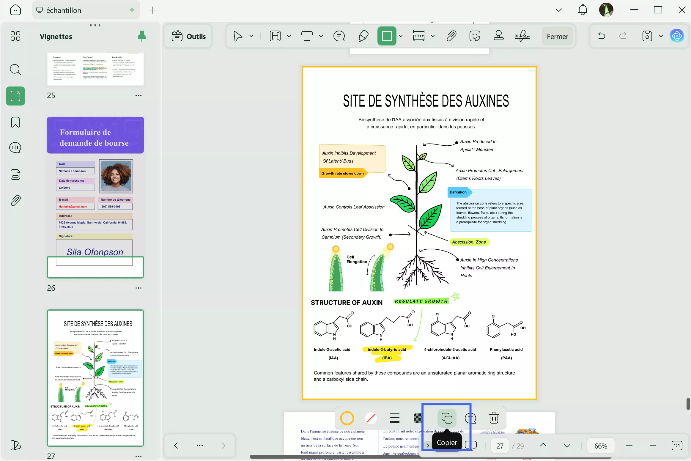 Ajouter une bordure au PDF. Ajouter une bordure autour de la page PDF.