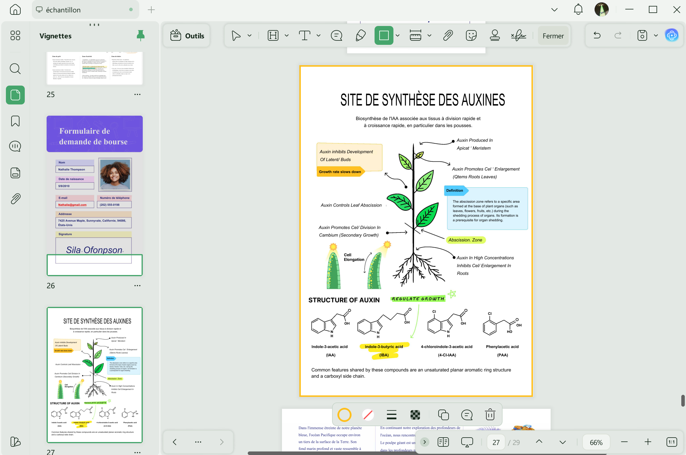 Ajouter une bordure au PDF. Ajouter une bordure autour de la page PDF.