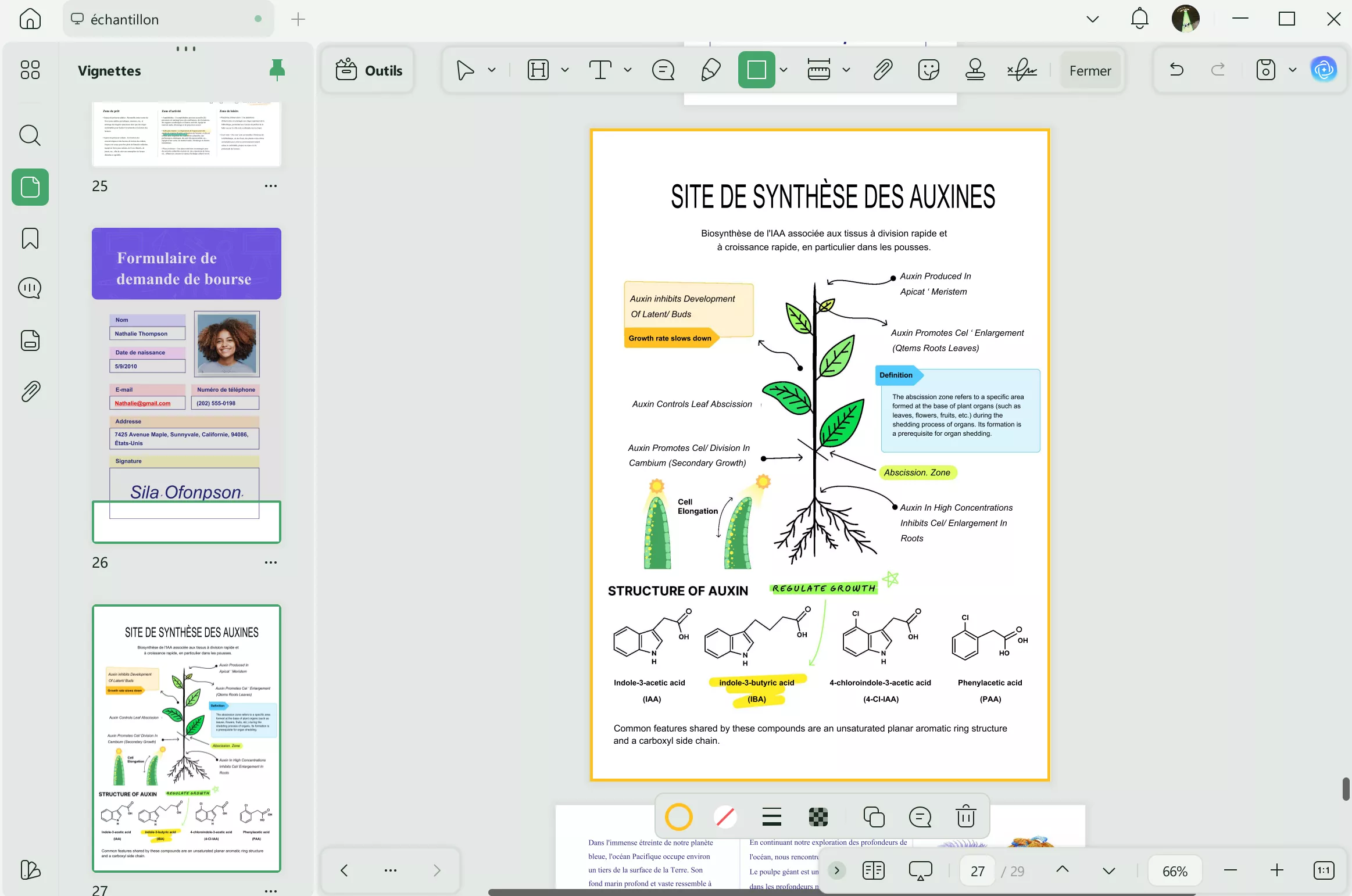 Ajouter une bordure au PDF. Ajouter une bordure autour de la page PDF.