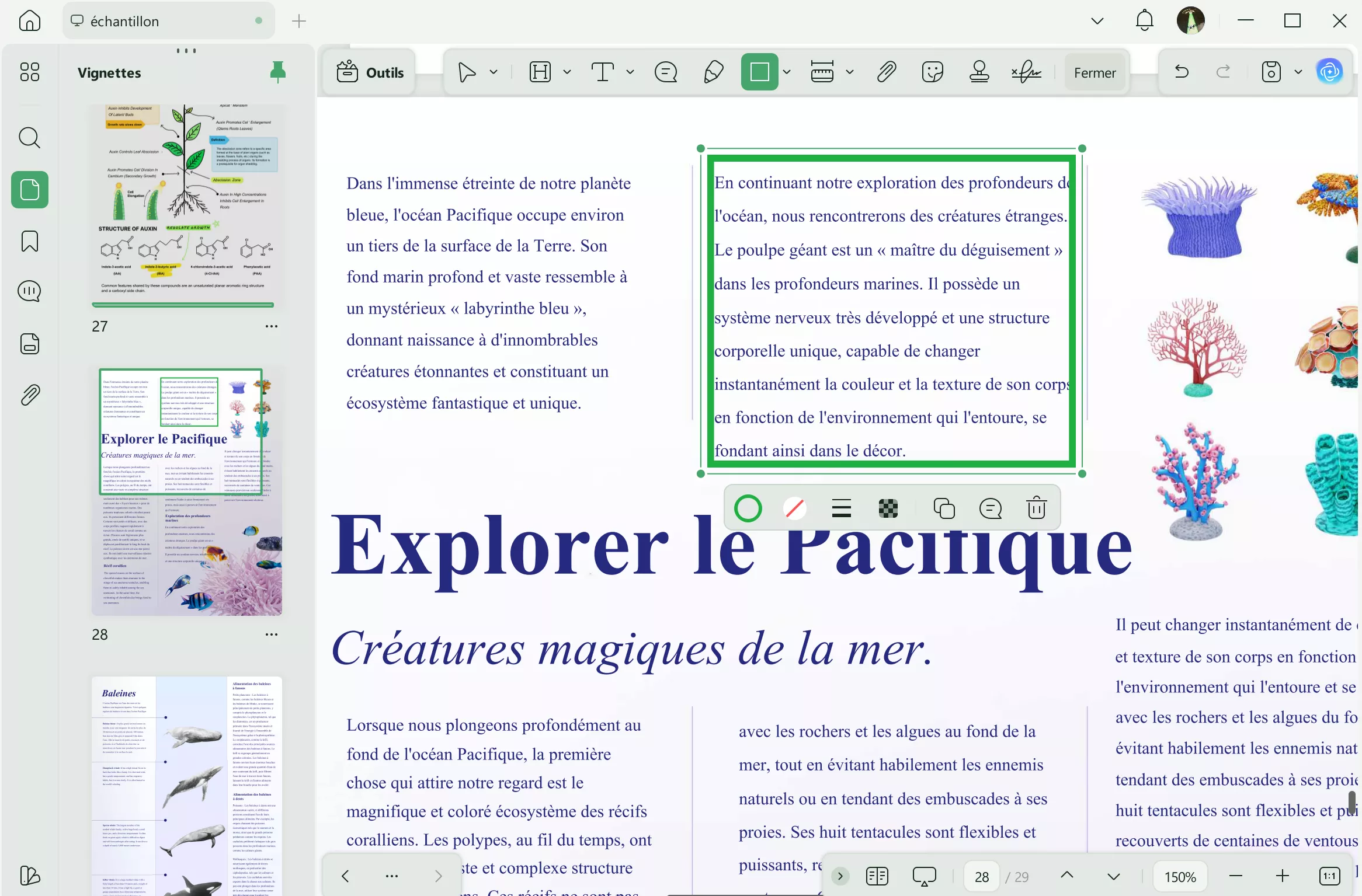 ajouter une bordure au texte PDF