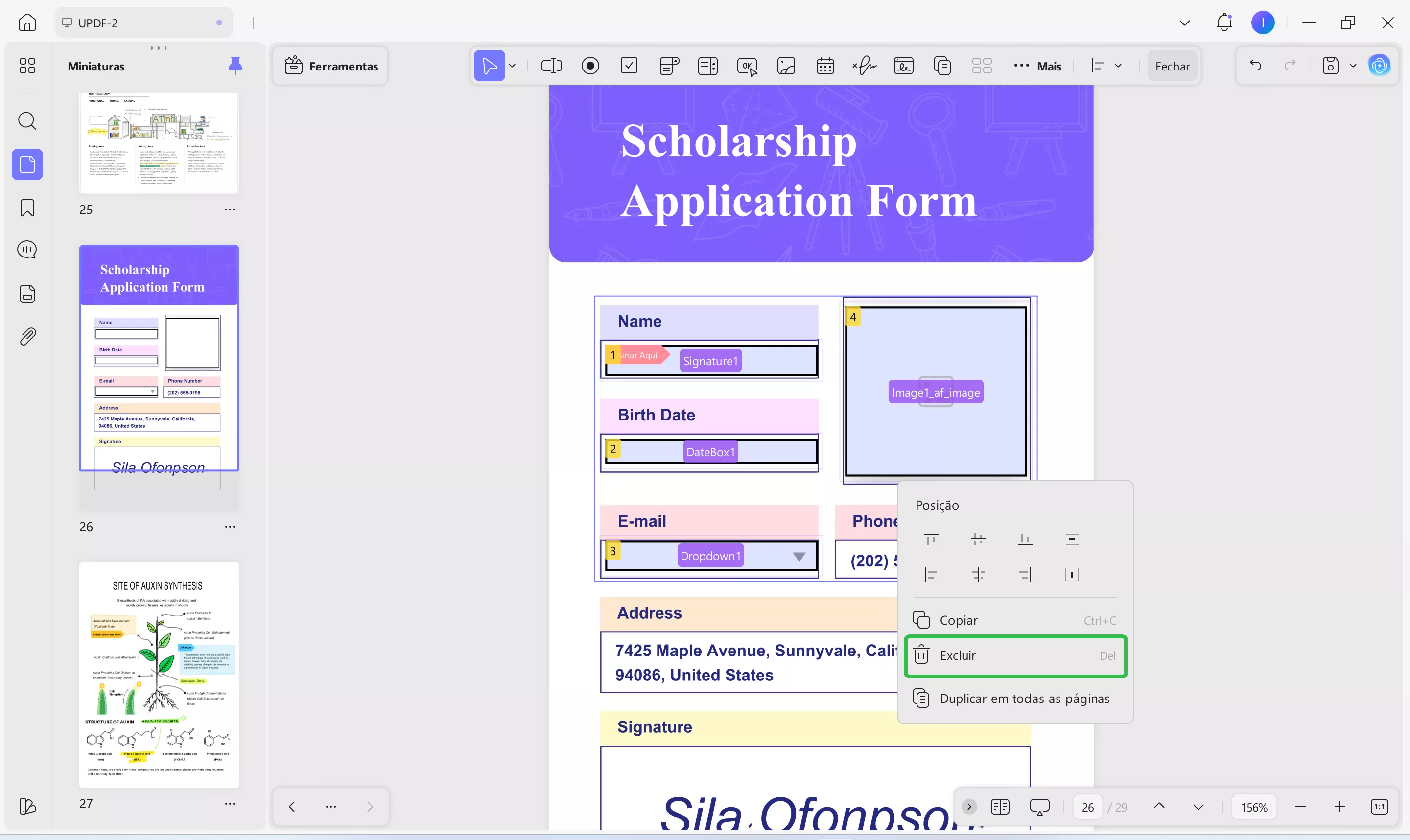 Excluir campos do formulário