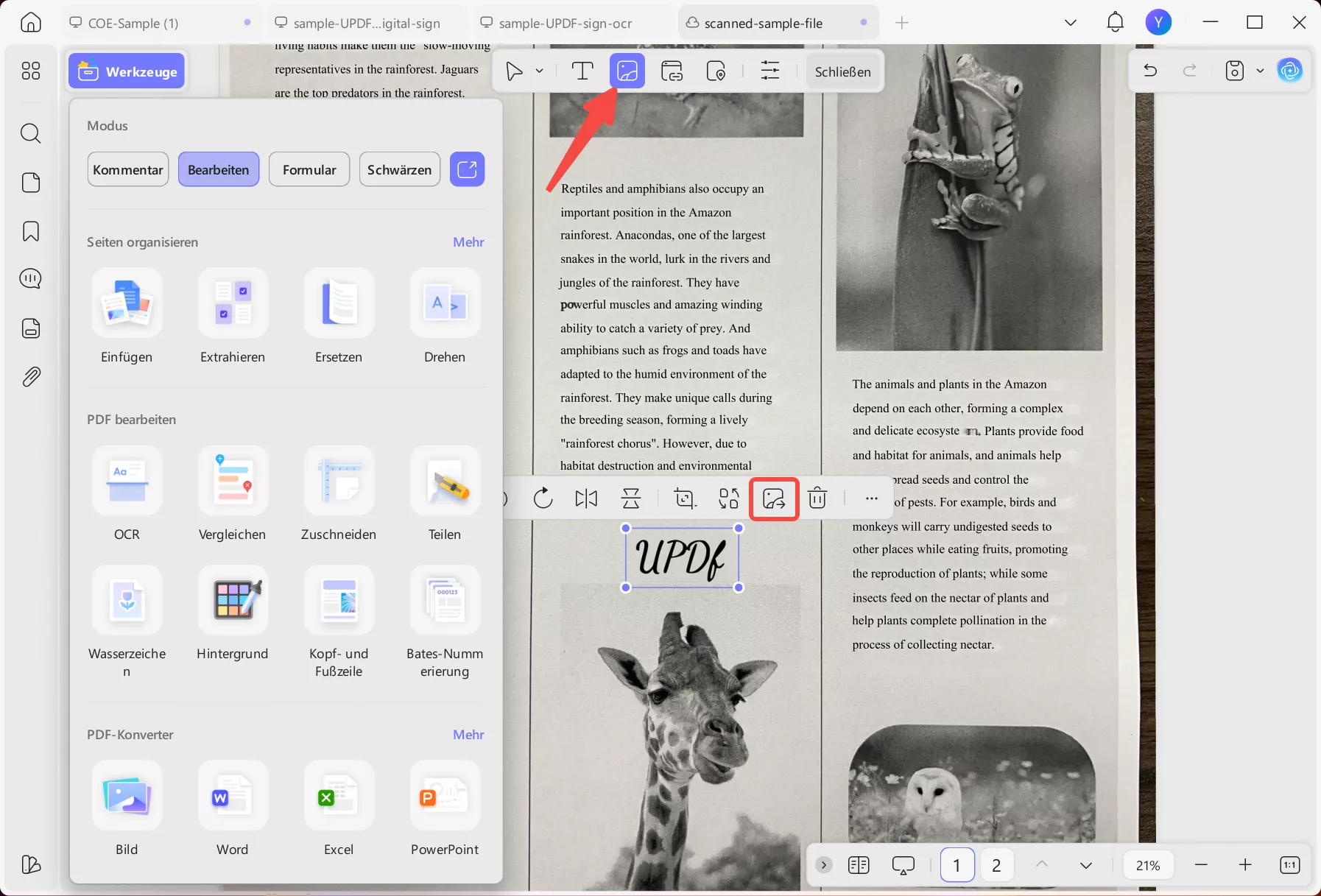 OCR-Dokument öffnen, Bild extrahieren