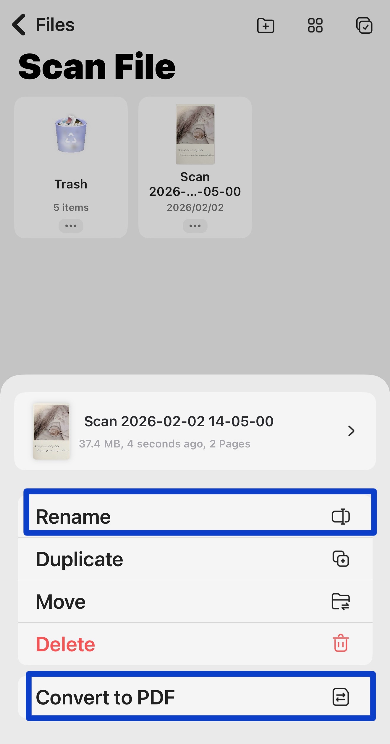 click-rename-or-convert-to-pdf