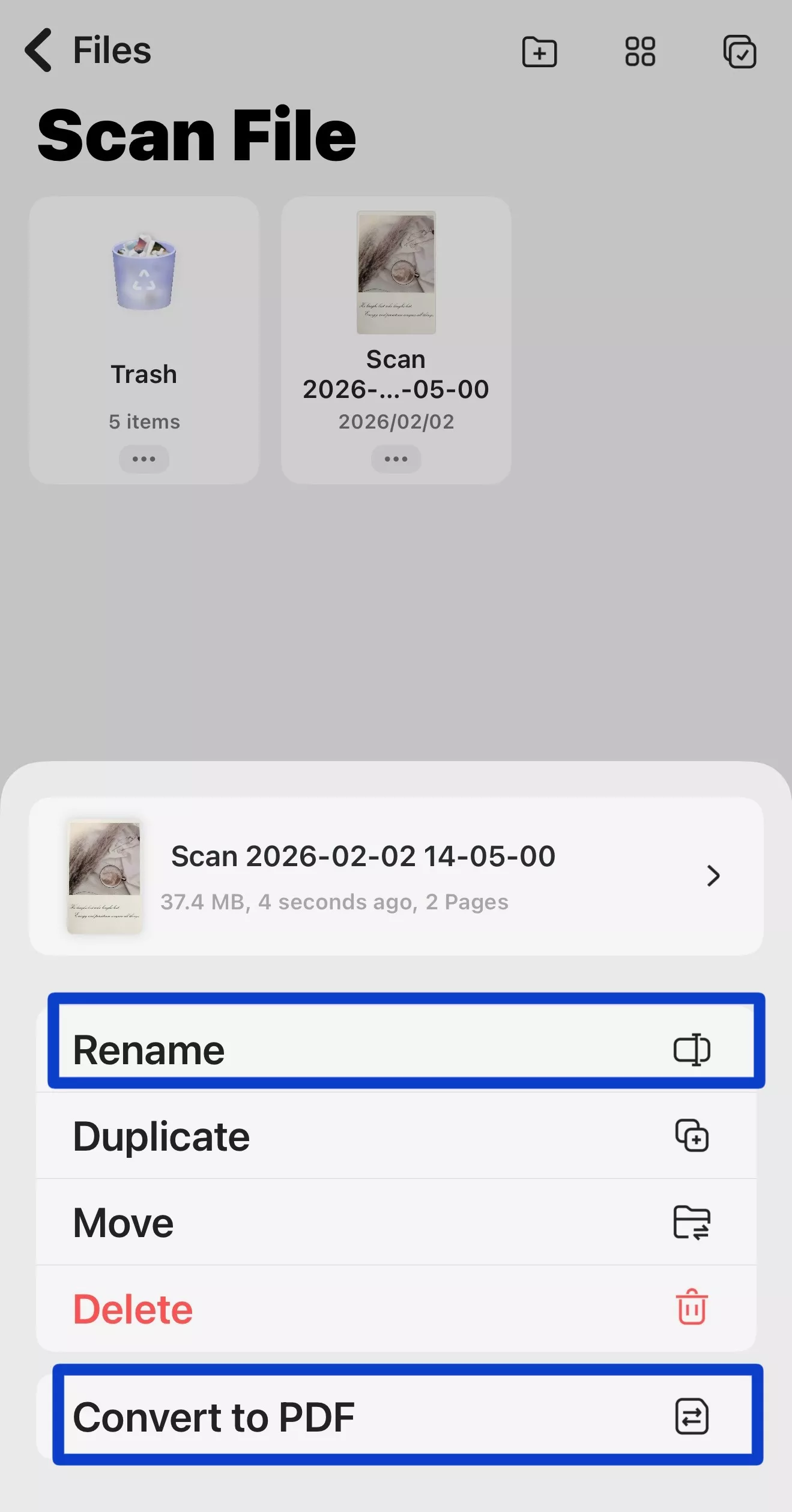 click-rename-or-convert-to-pdf