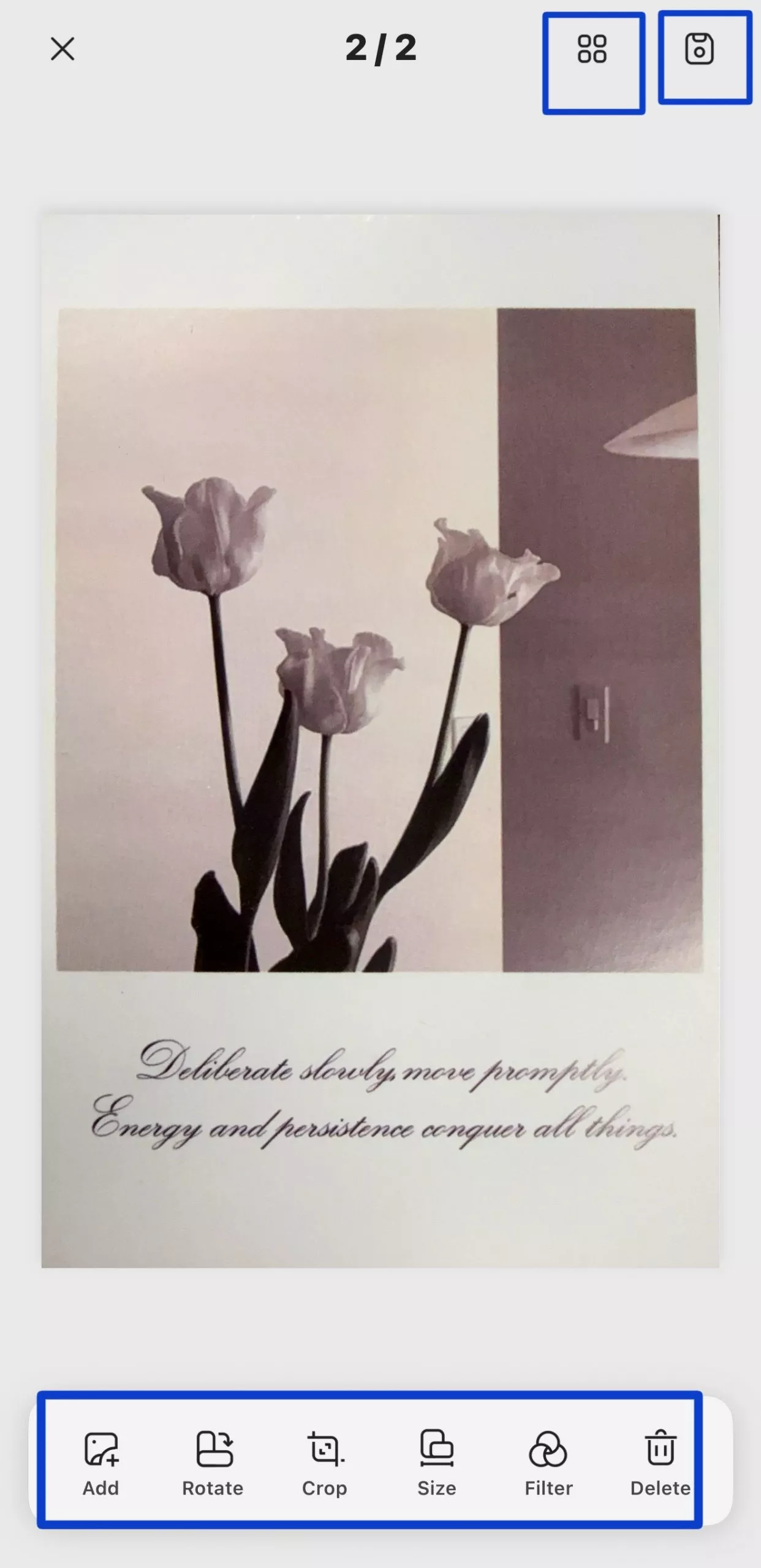 select-other-editing-options