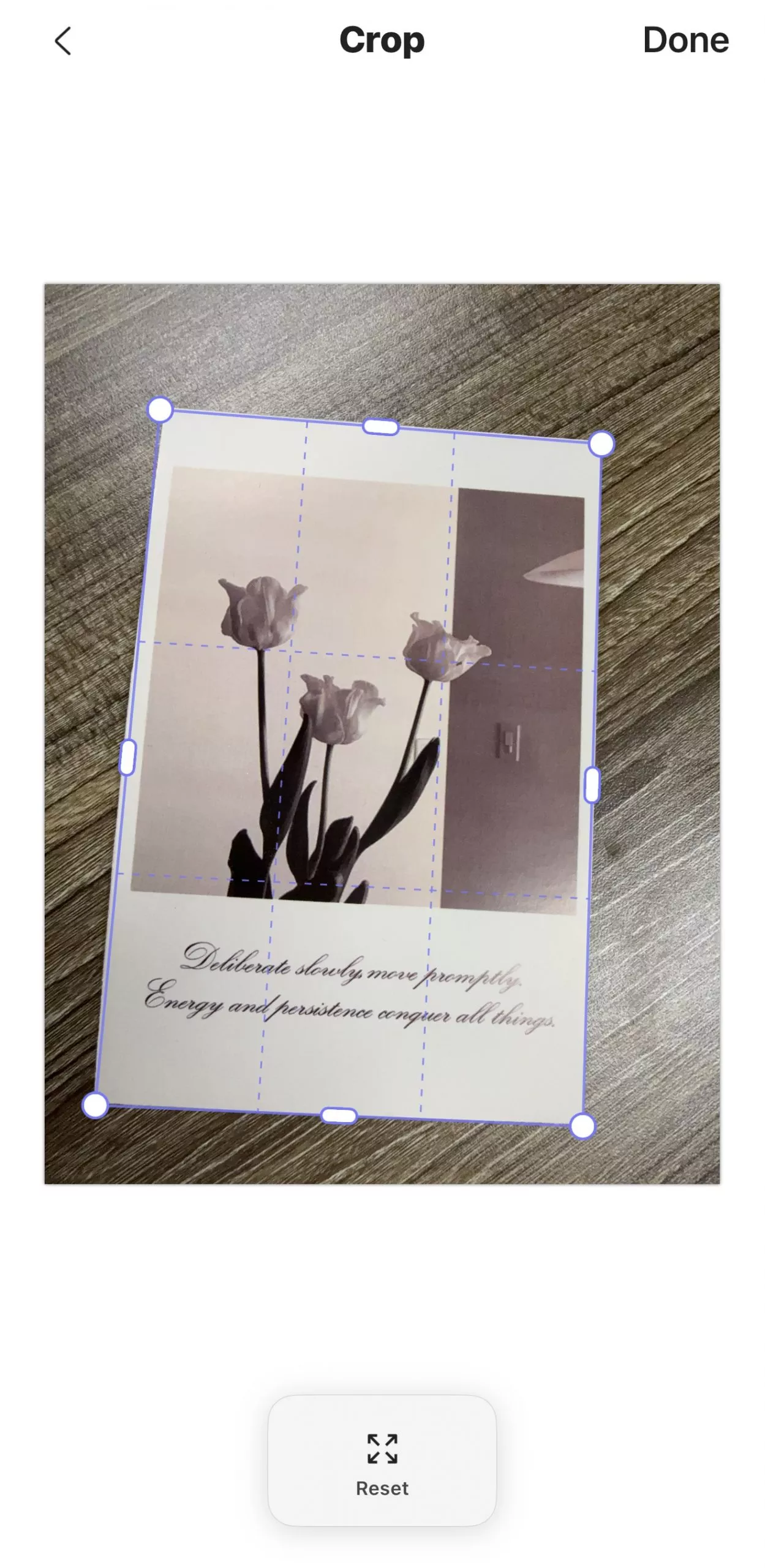 click-the-crop-option