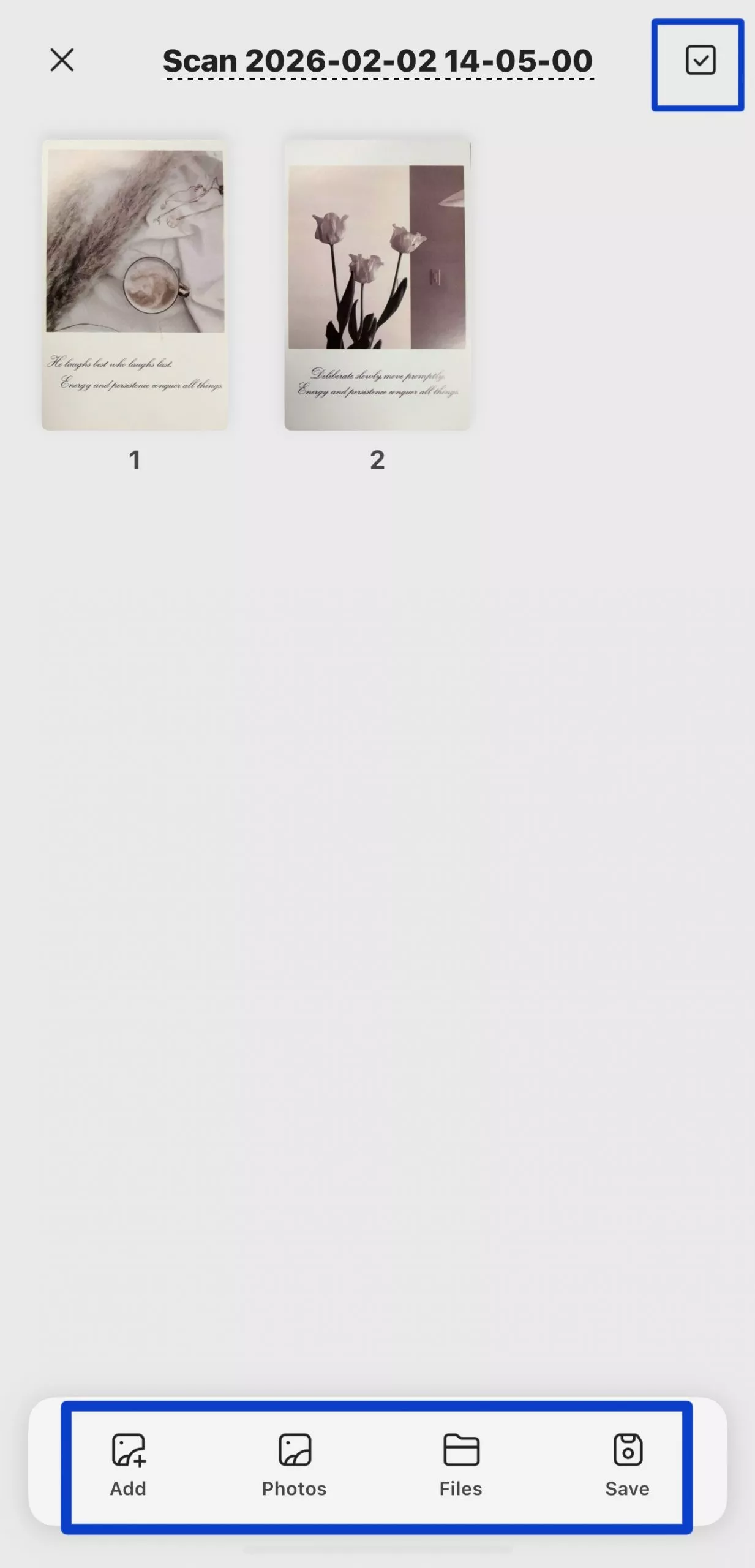 organize-the-scan-images