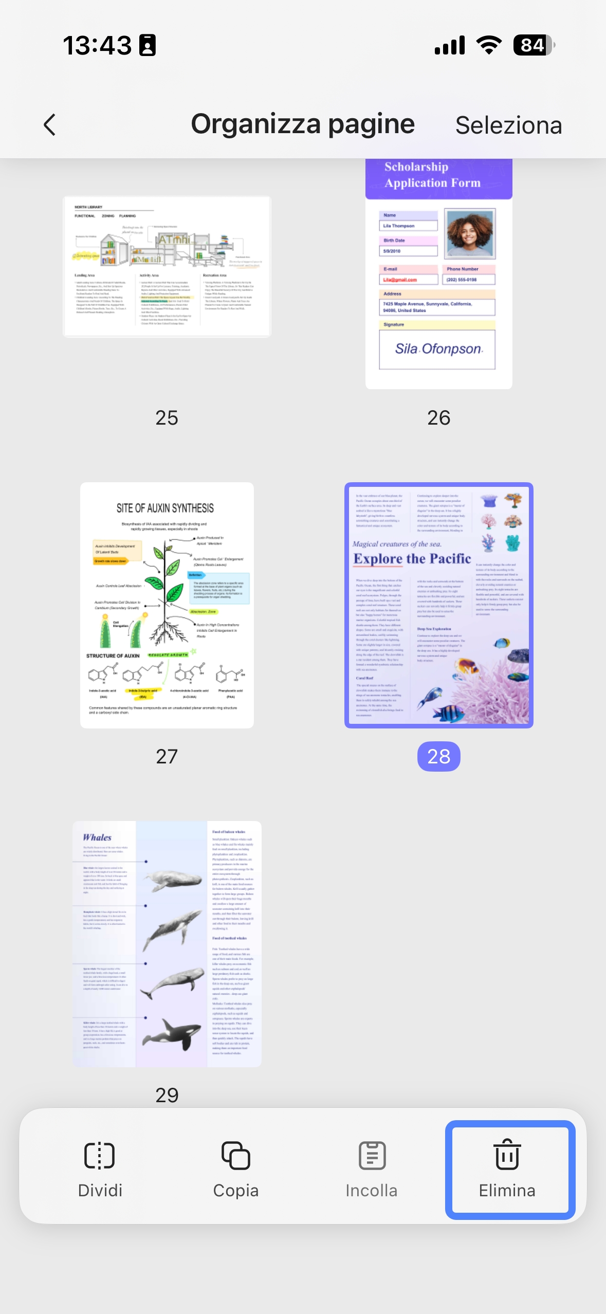 delete page from pdf with updf