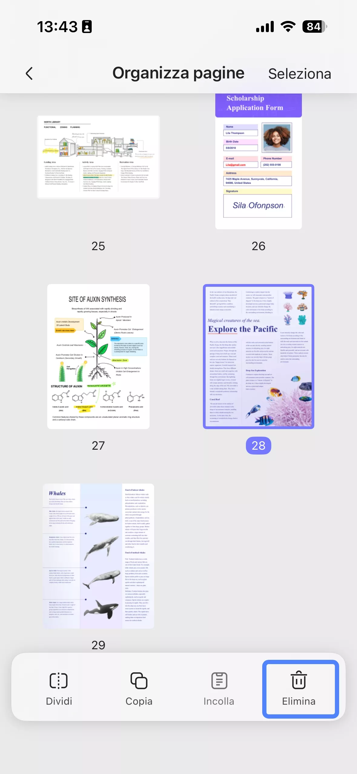 delete page from pdf with updf