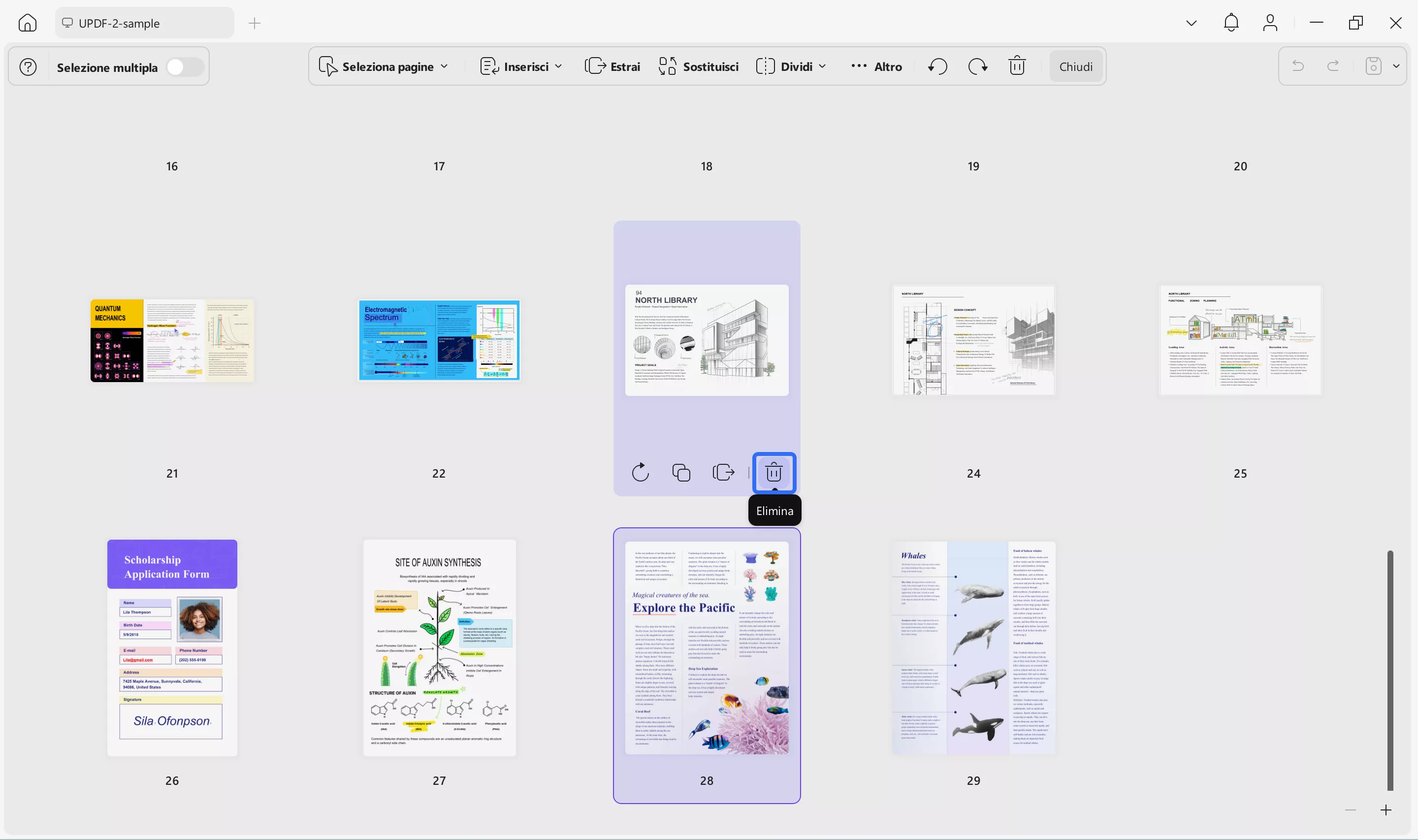delete PDF pages on Windows