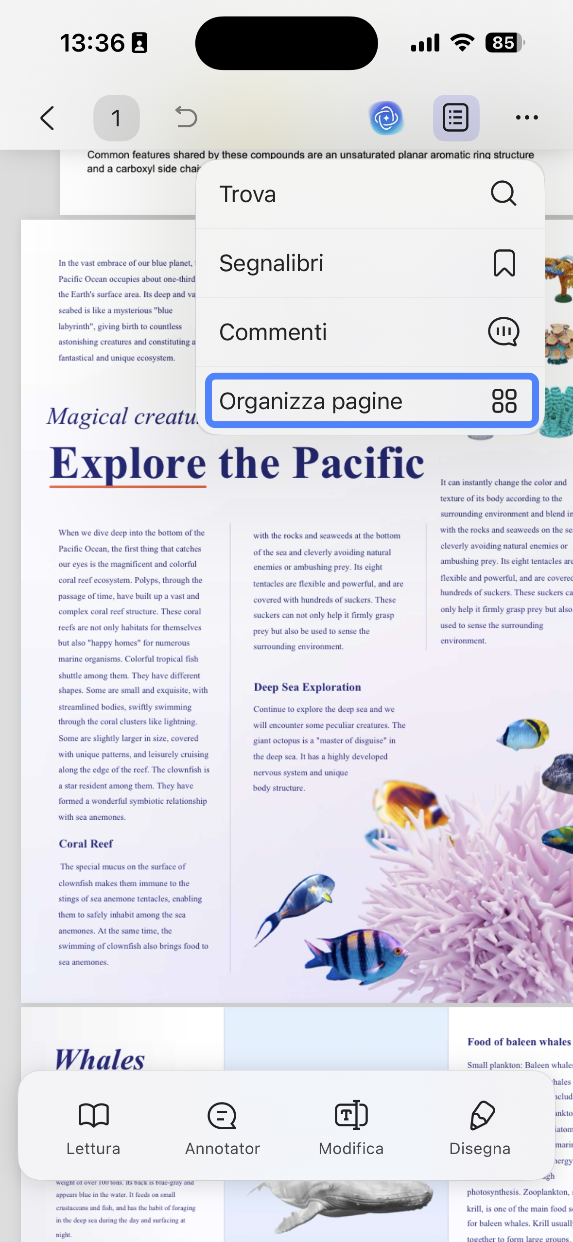 organize pages in updf for ios