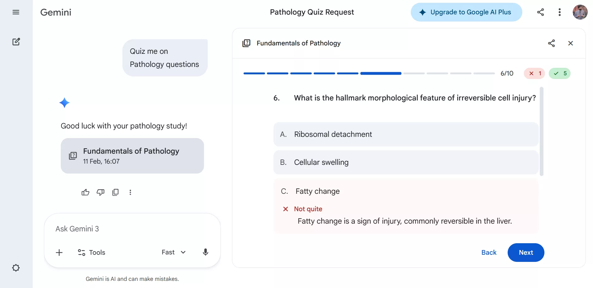solve the usmle question paper