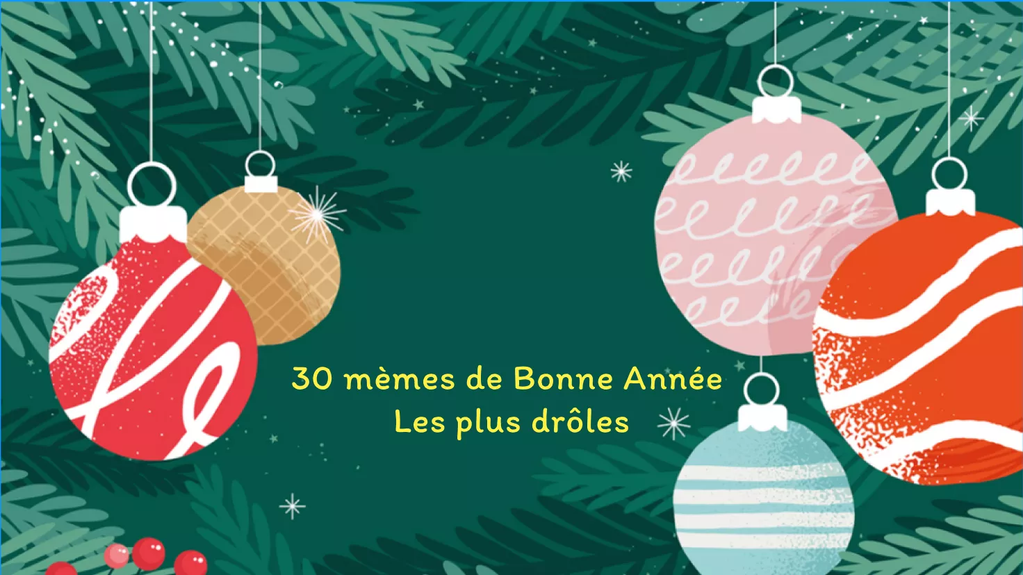 Les 30 memes de Bonne Année les plus drôles