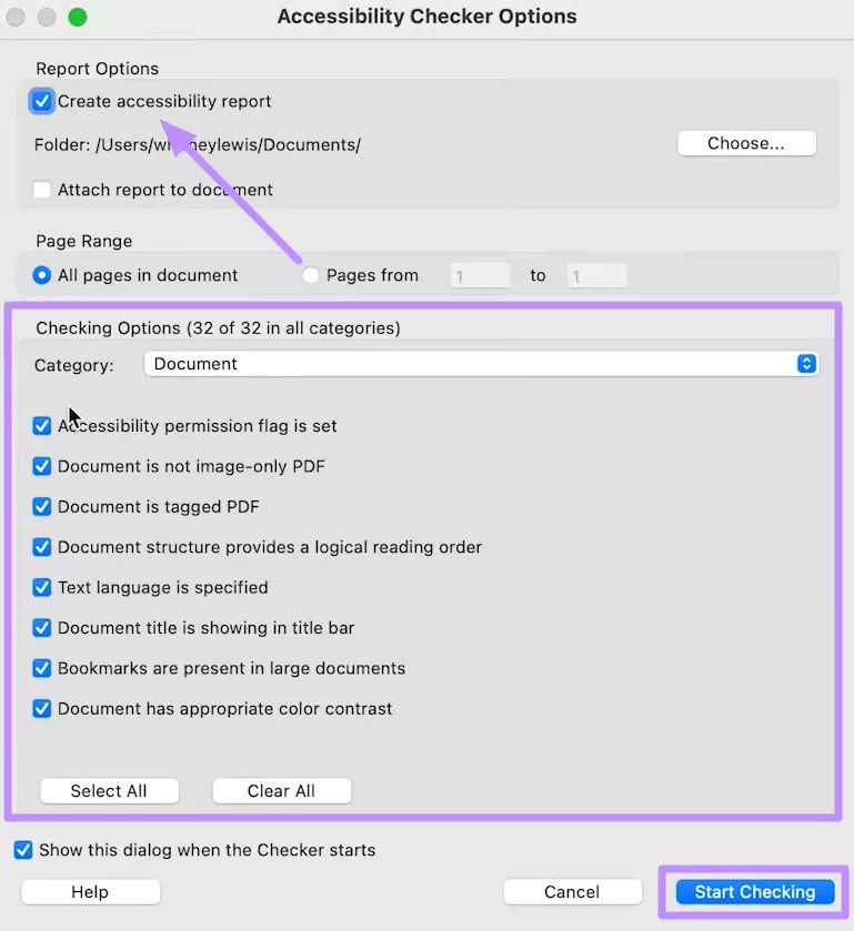 start the accessibility checking task