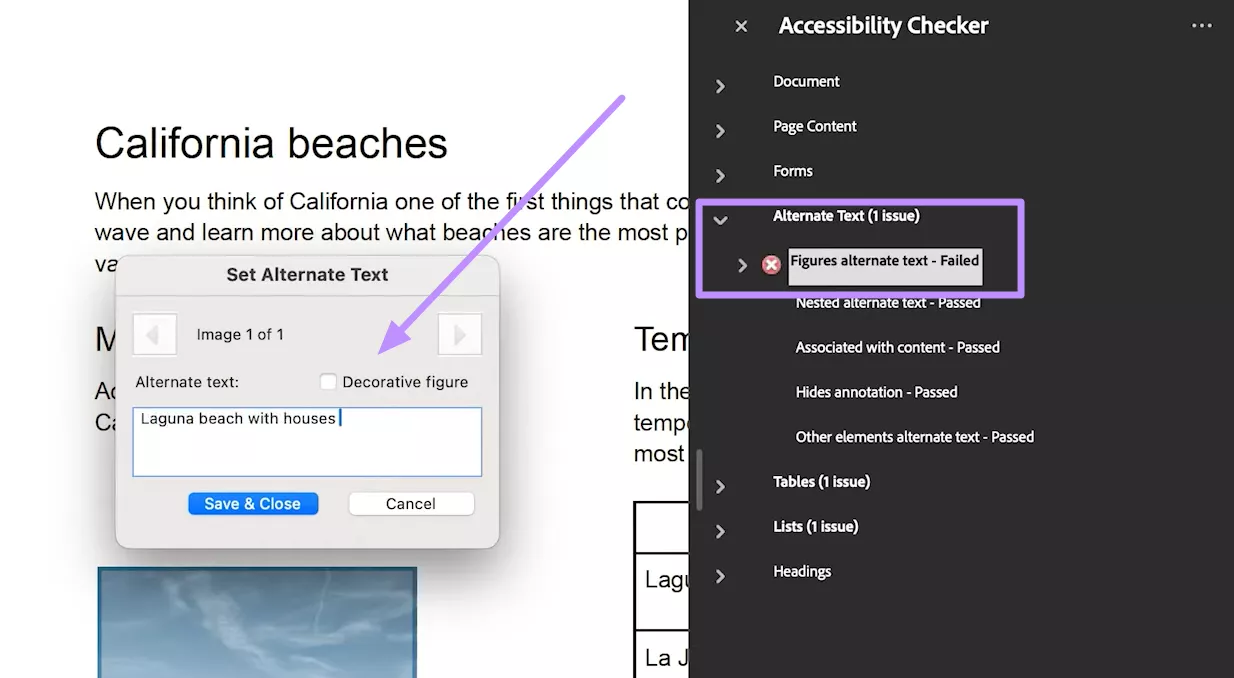  solve alternate text issues