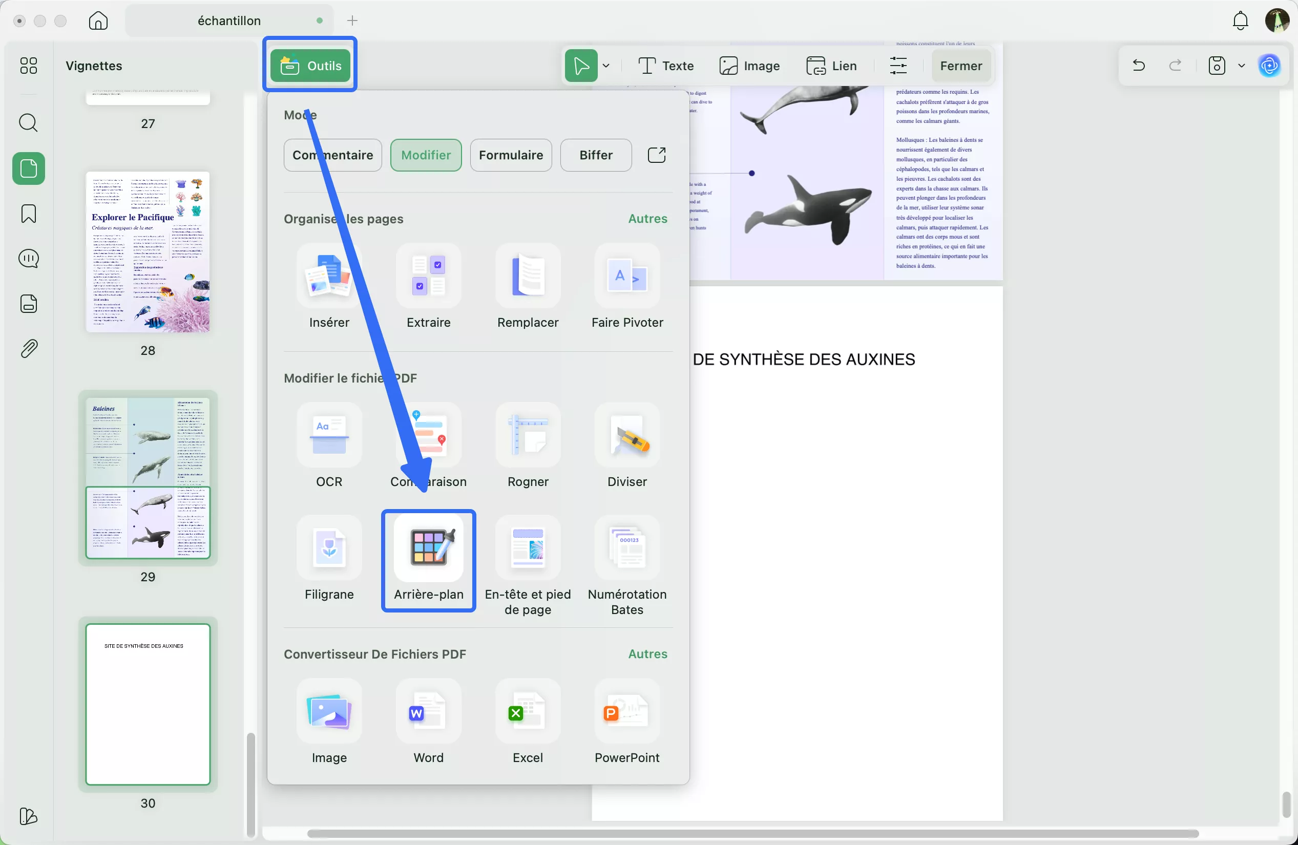 Sélectionnez l'arrière-plan dans les outils