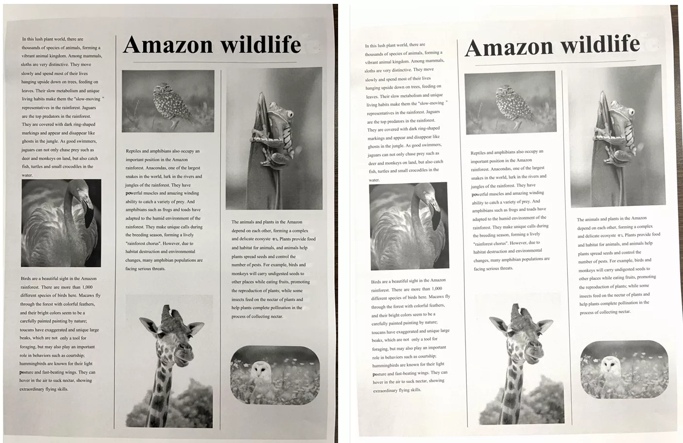 UPDF 밝기 조절 전후 차이