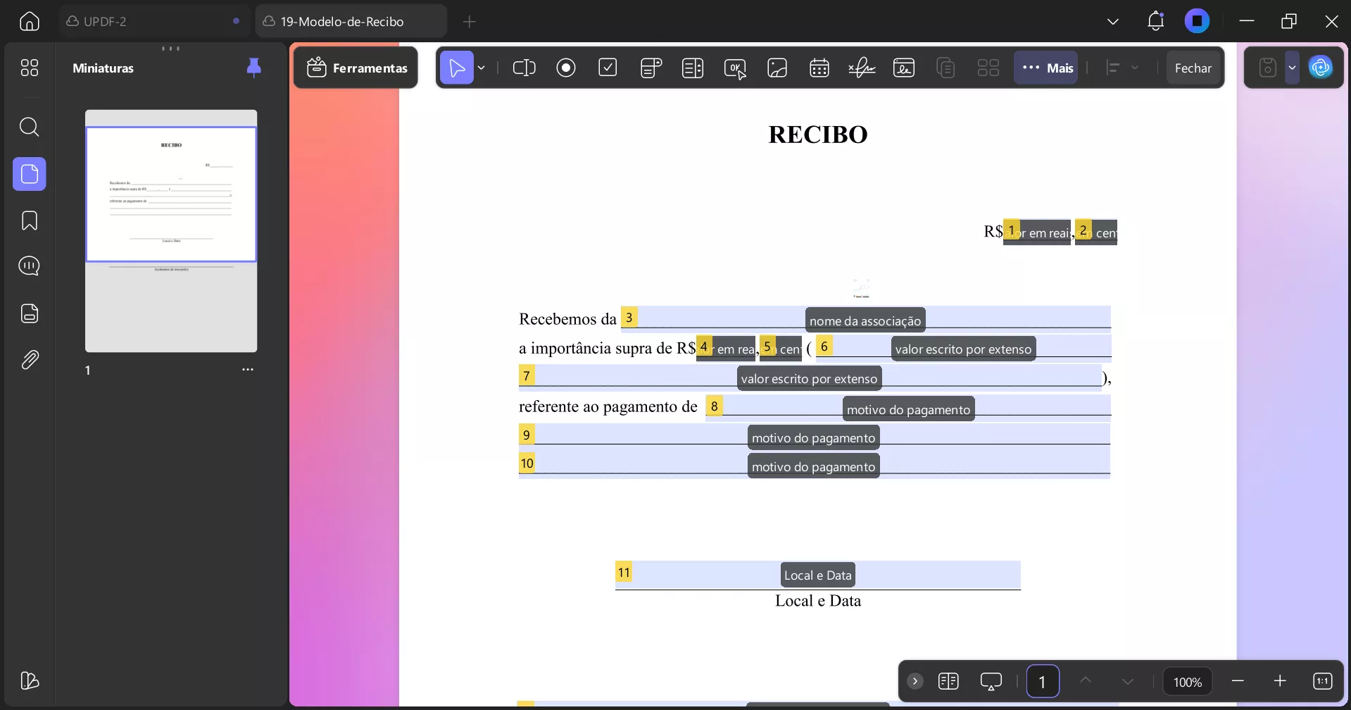 Campos de formulário PDF visíveis no UPDF