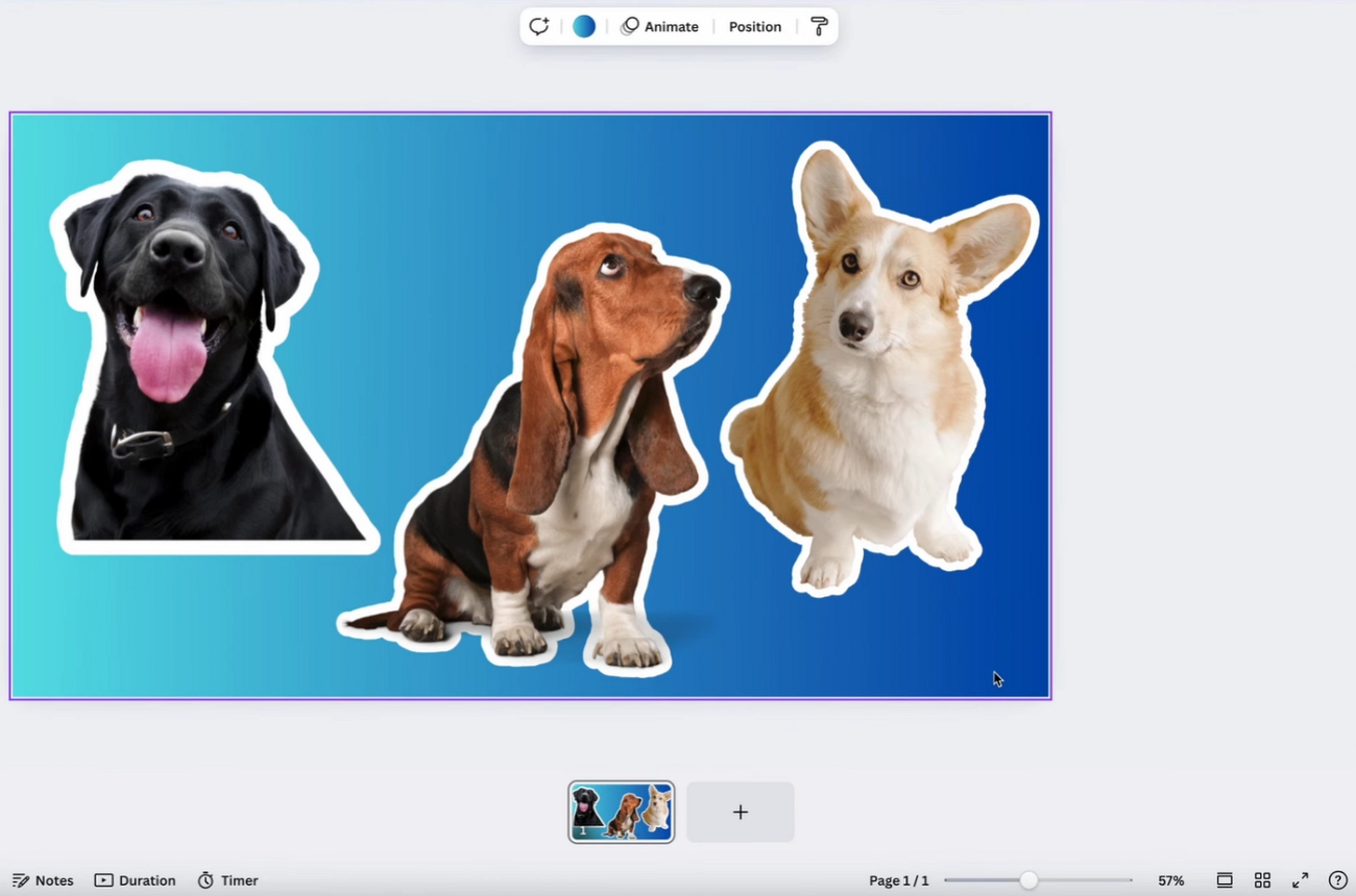  canva sticker outline clear border