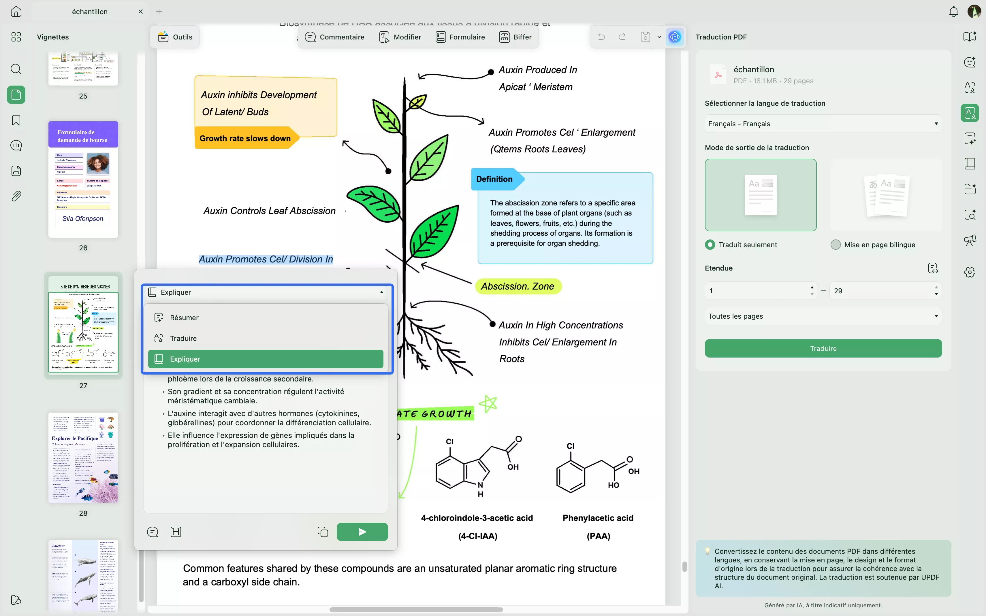 Outils d'IA pour résumer ou traduire votre PDF