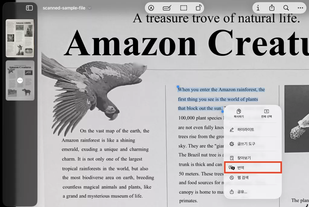 아이패드에서 PDF 번역하는 일반적인 방법입니다