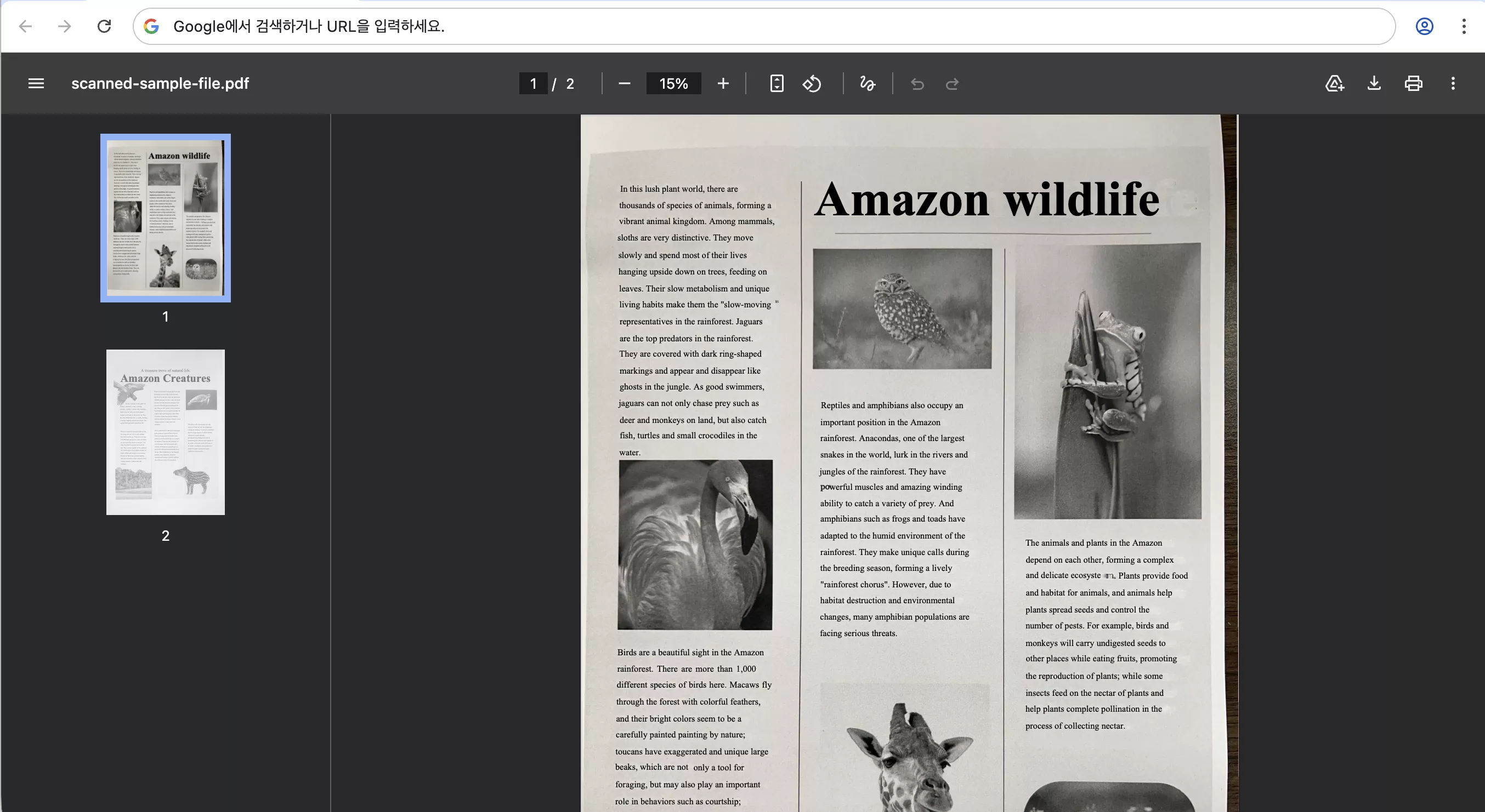 별도 설치가 필요 없는 브라우저 내장 PDF 뷰어