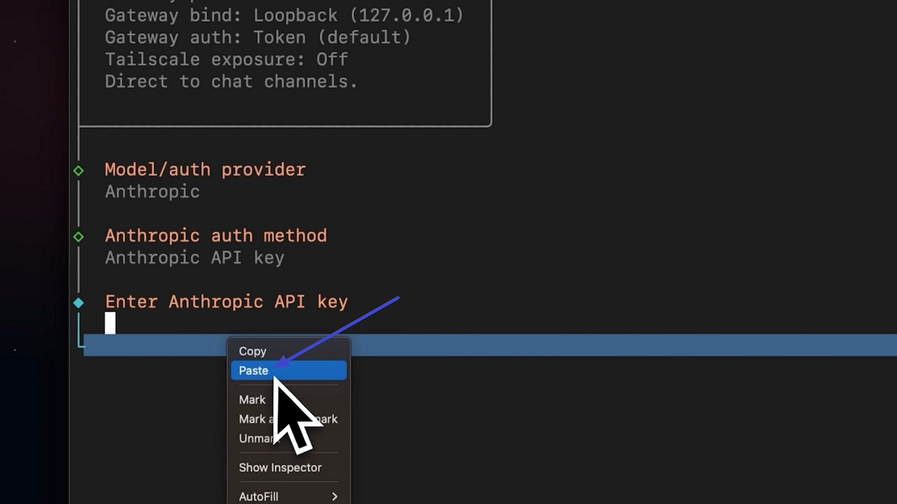Configurar a chave de API da ferramenta OpenClaw no macOS