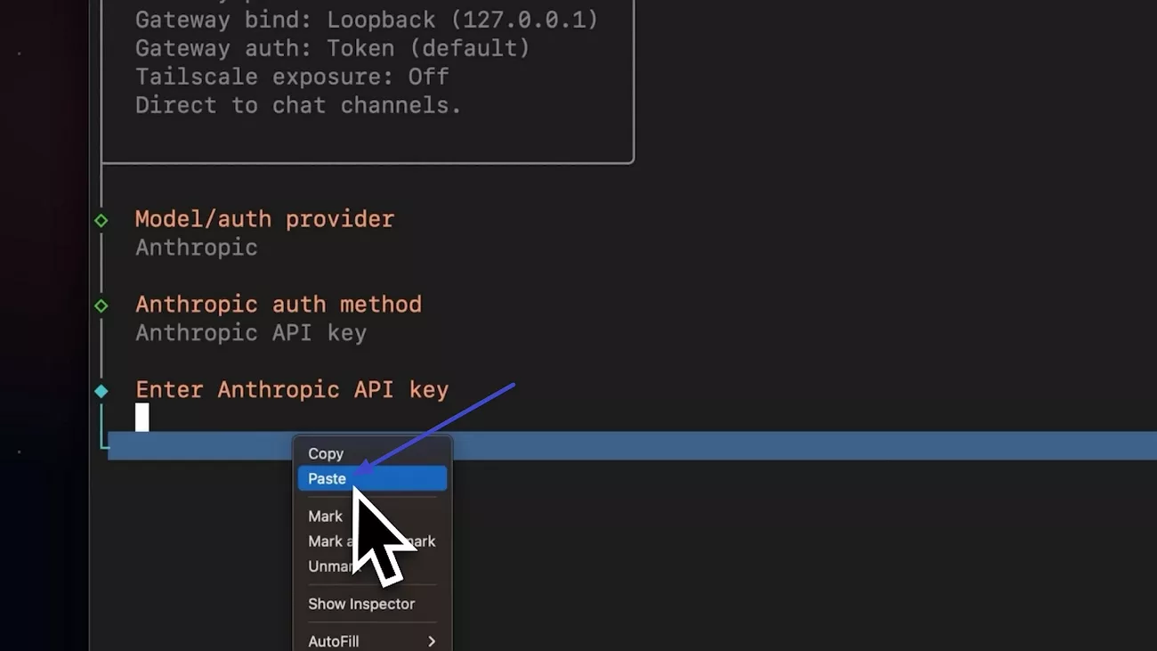 macos onboard openclaw tool api key