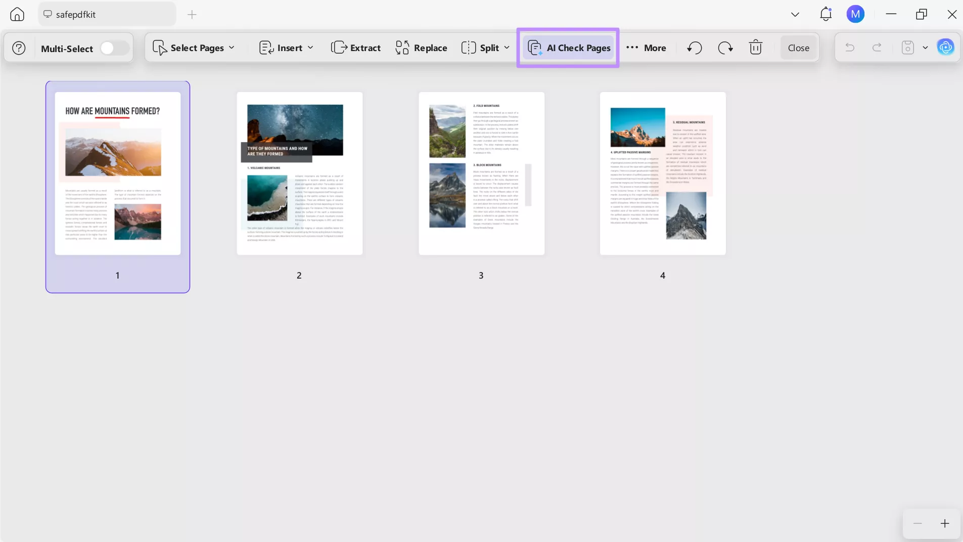 perform the ai pages check