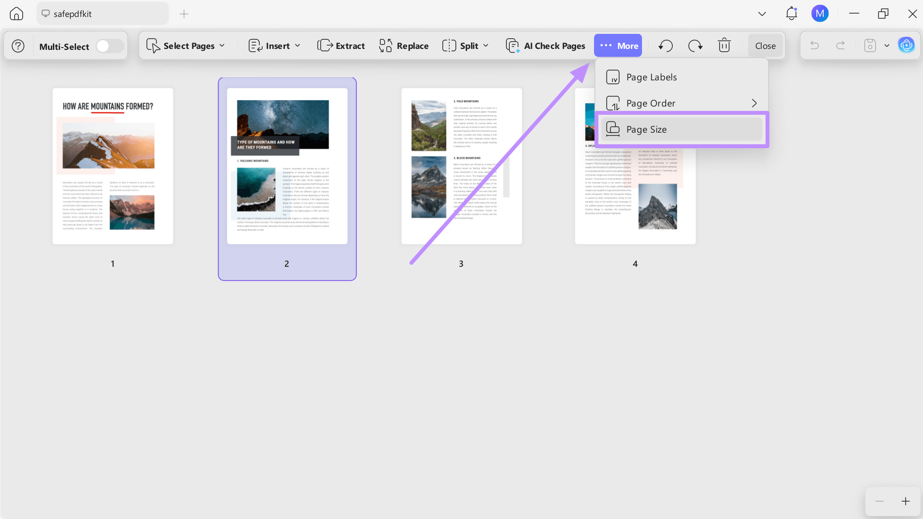 enter page size feature