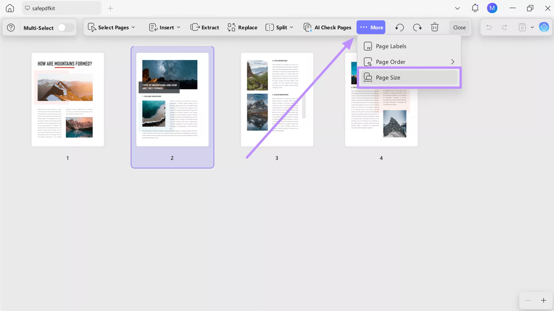 enter page size feature