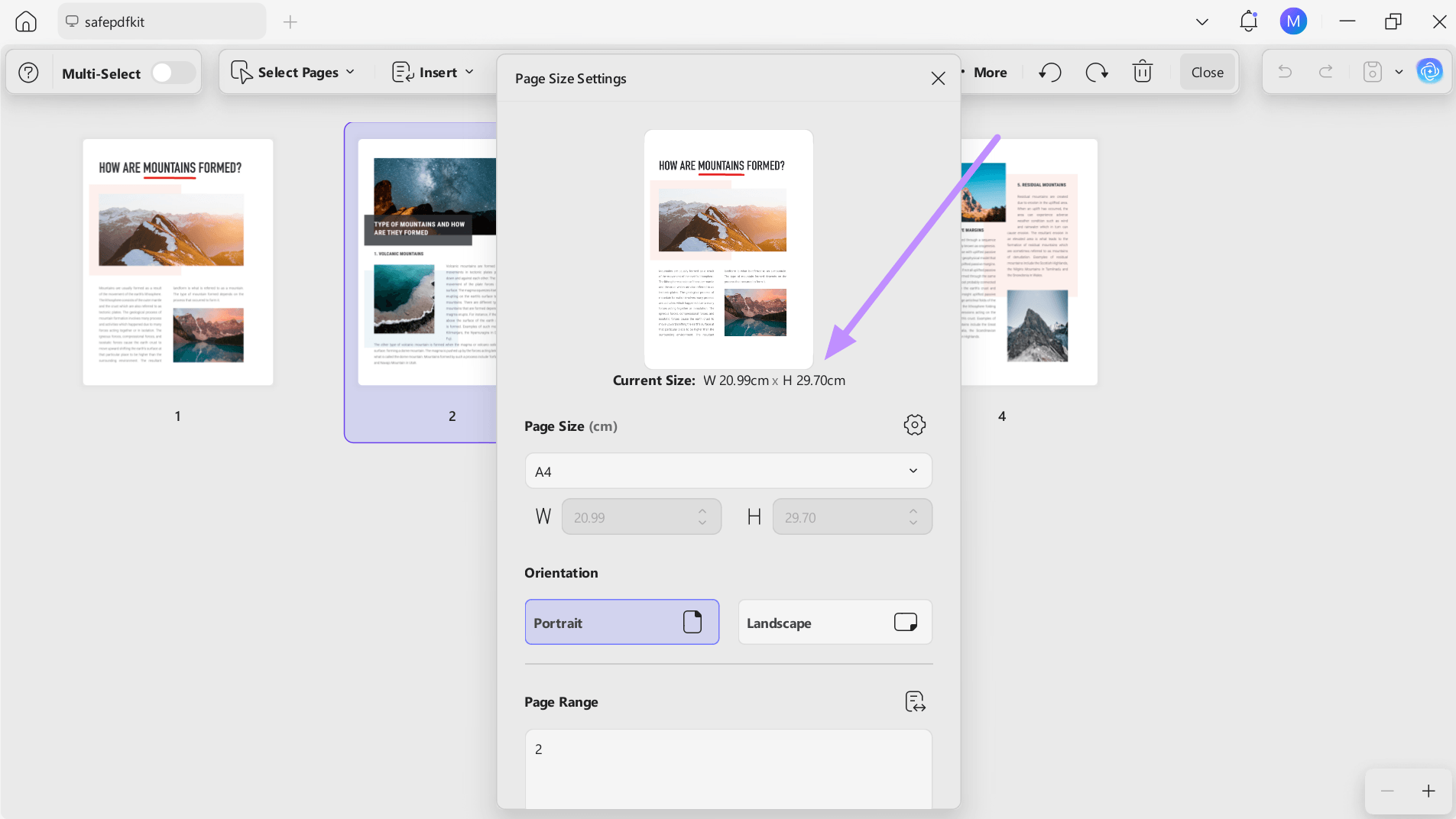 check the actual page size