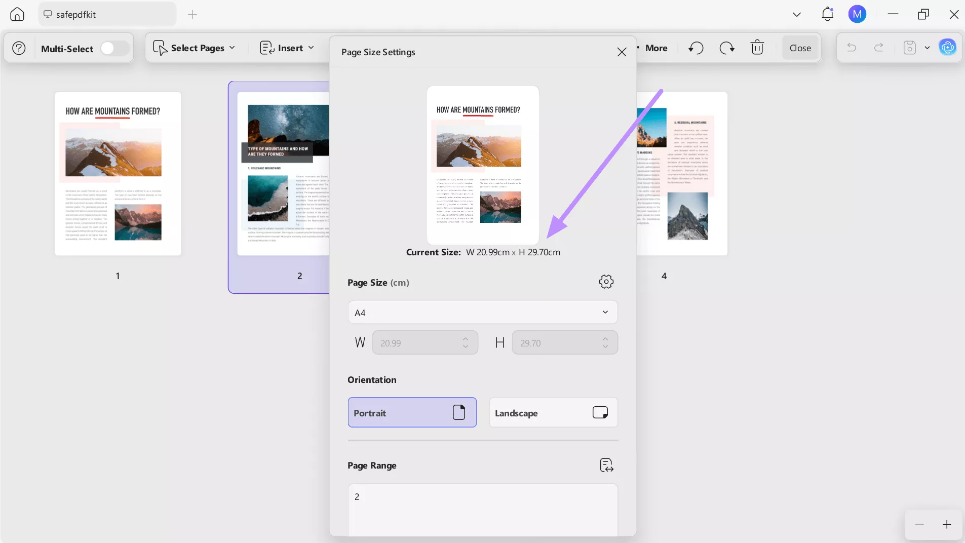 check the actual page size