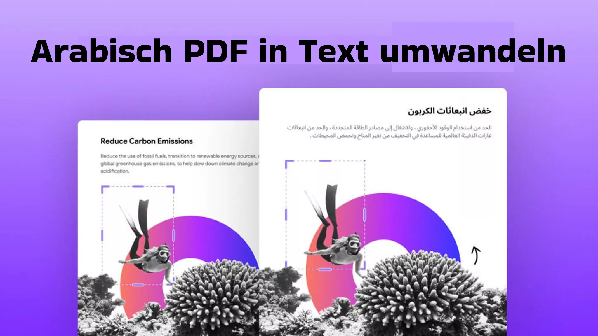 Arabisch PDF in Text umwandeln: So geht’s ganz einfach
