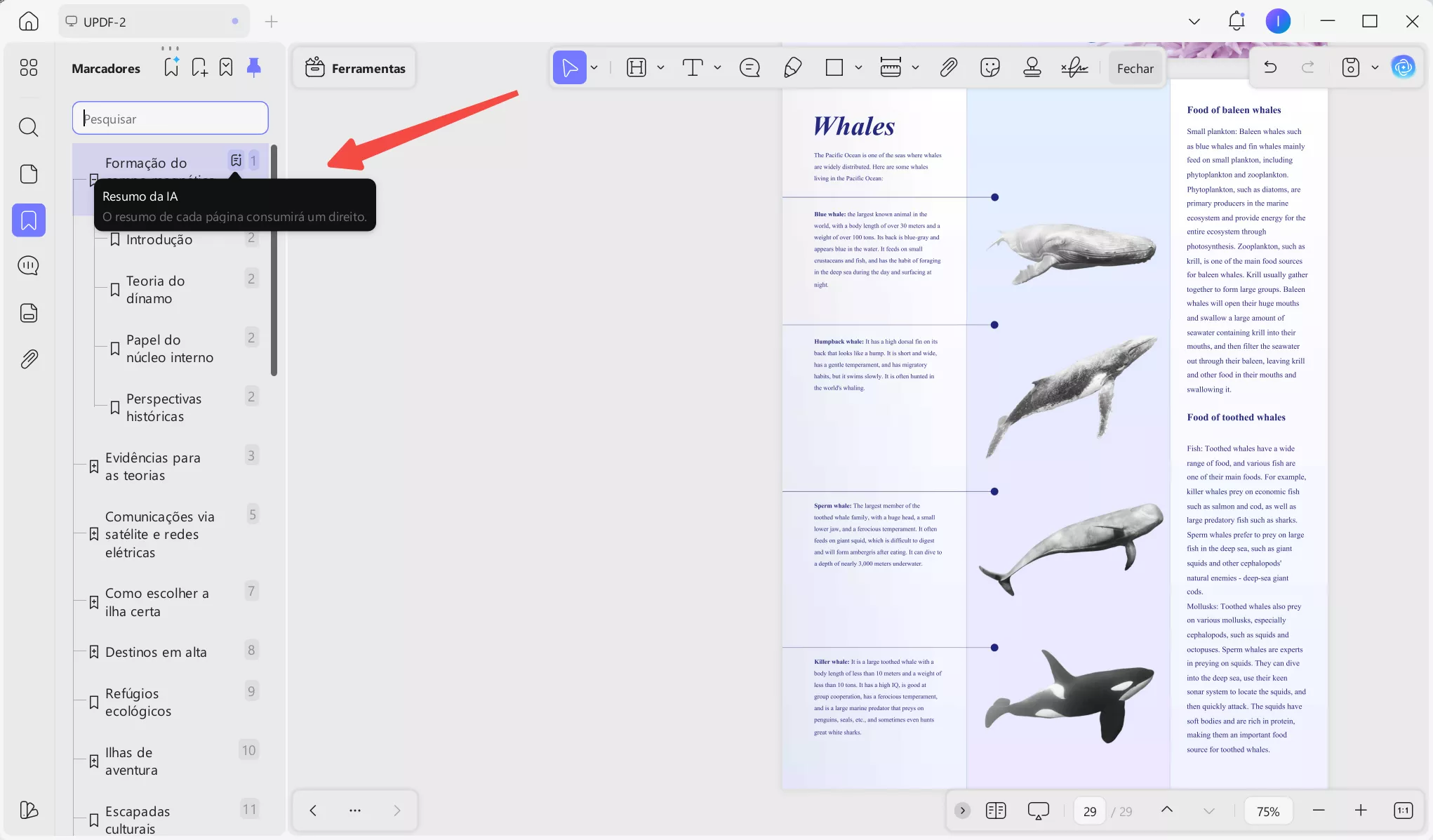 Clique em “Resumo com IA”.