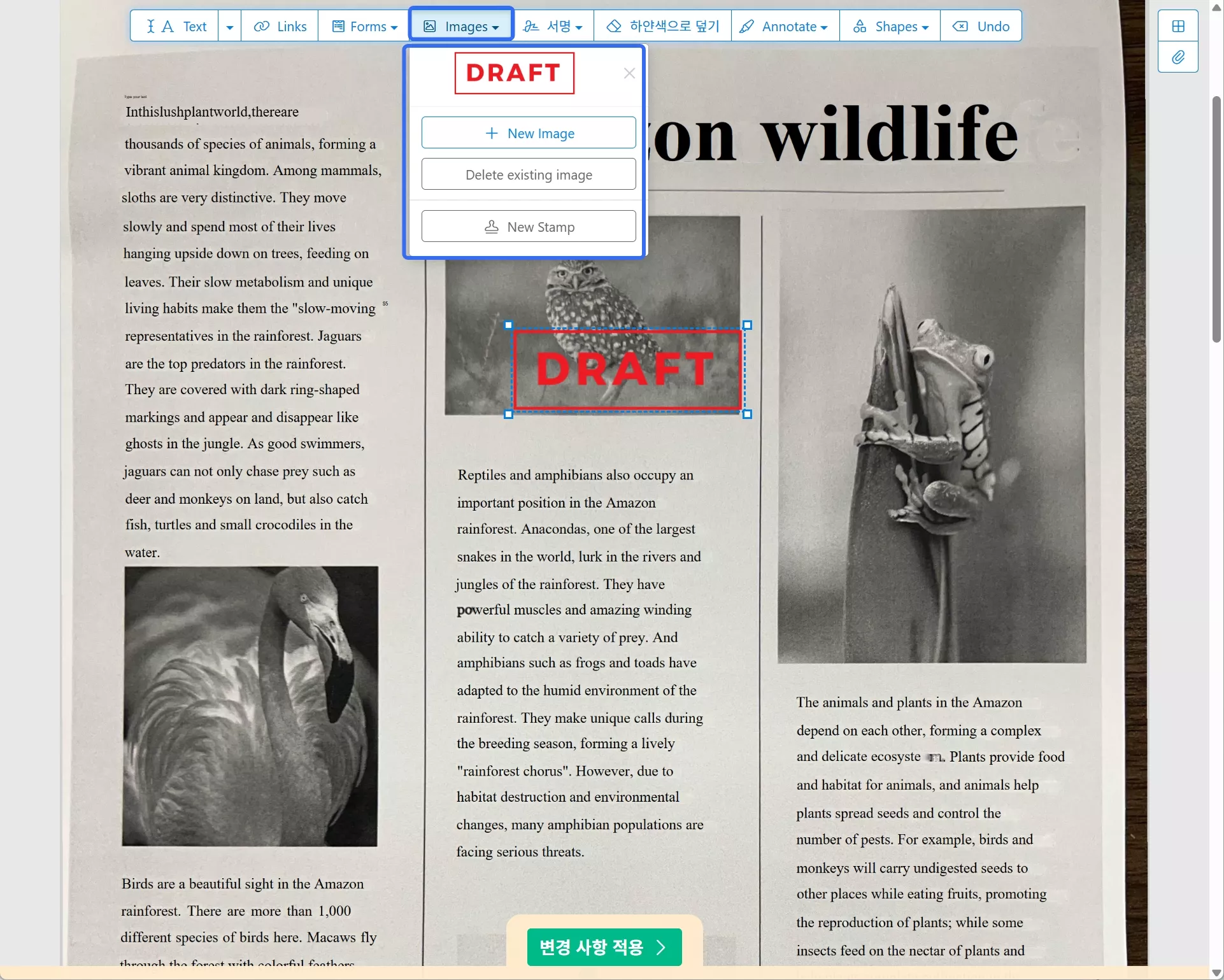 삽입 이미지 sejda