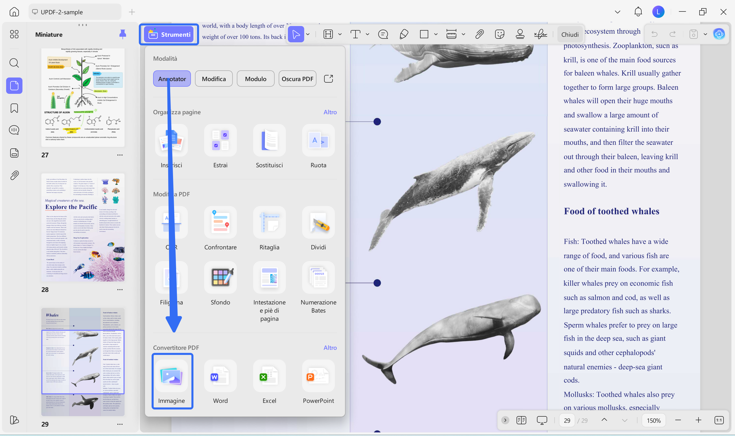 export pdf to images updf