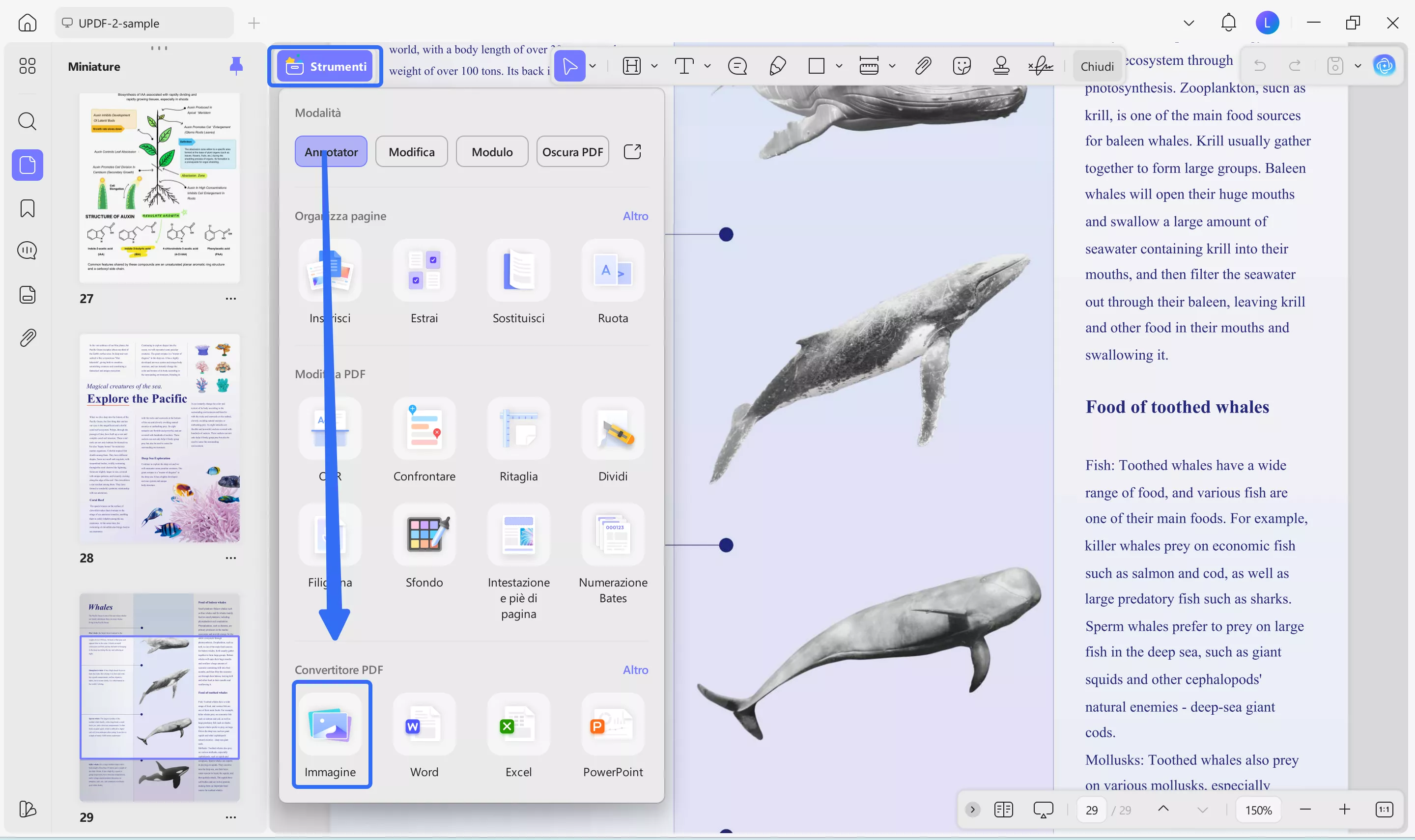 export pdf to images updf