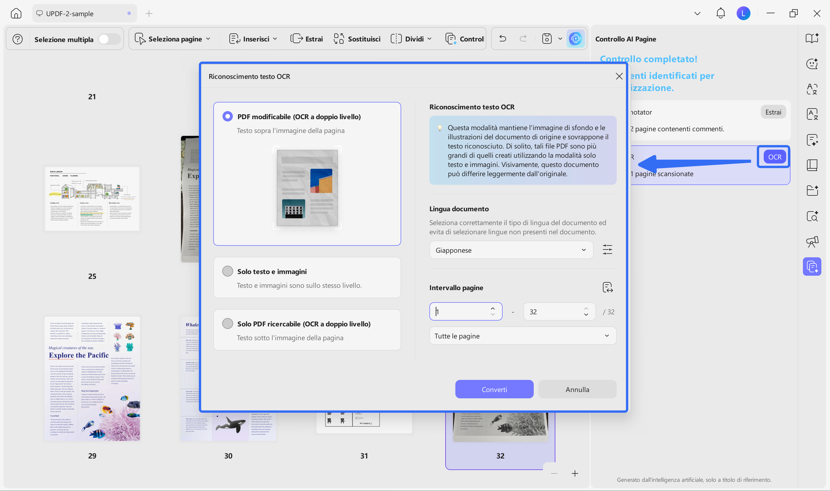 detect and ocr pages