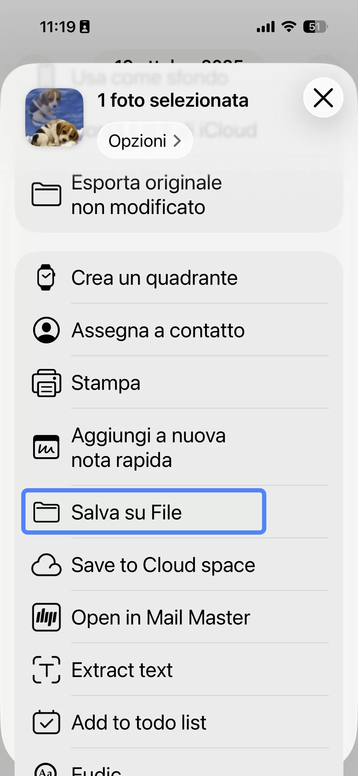 save foto to file ios 