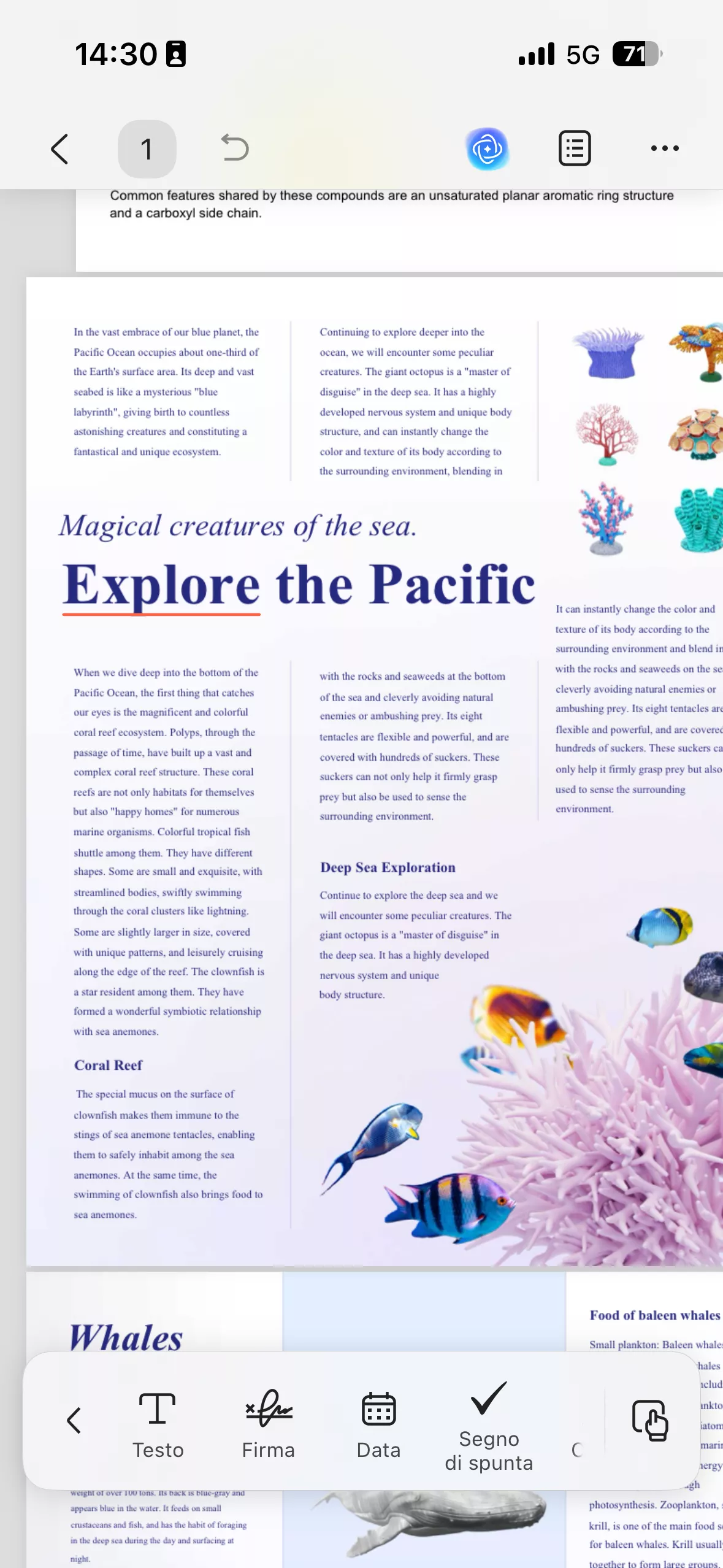 sign any file on iphone 