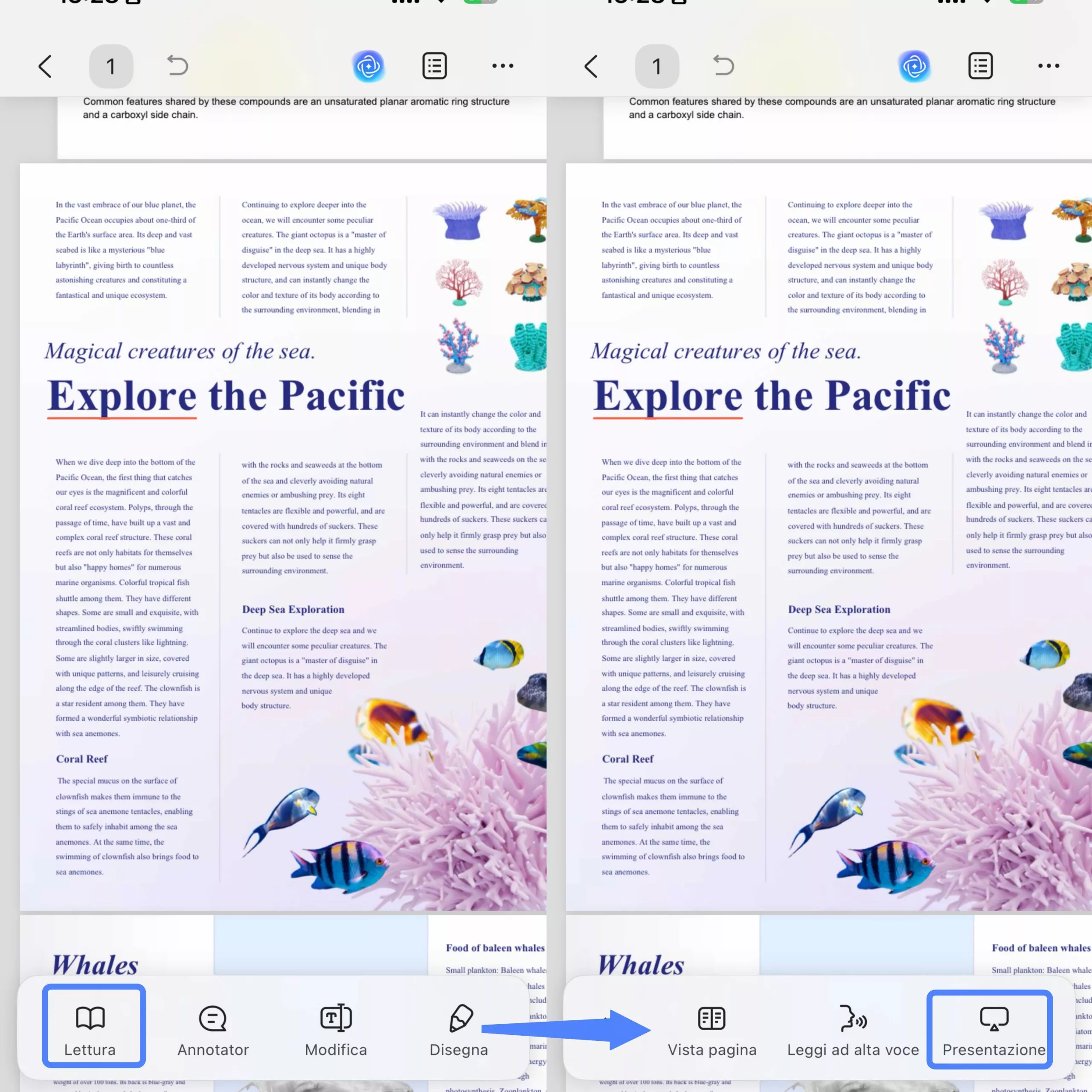 open slideshow in updf