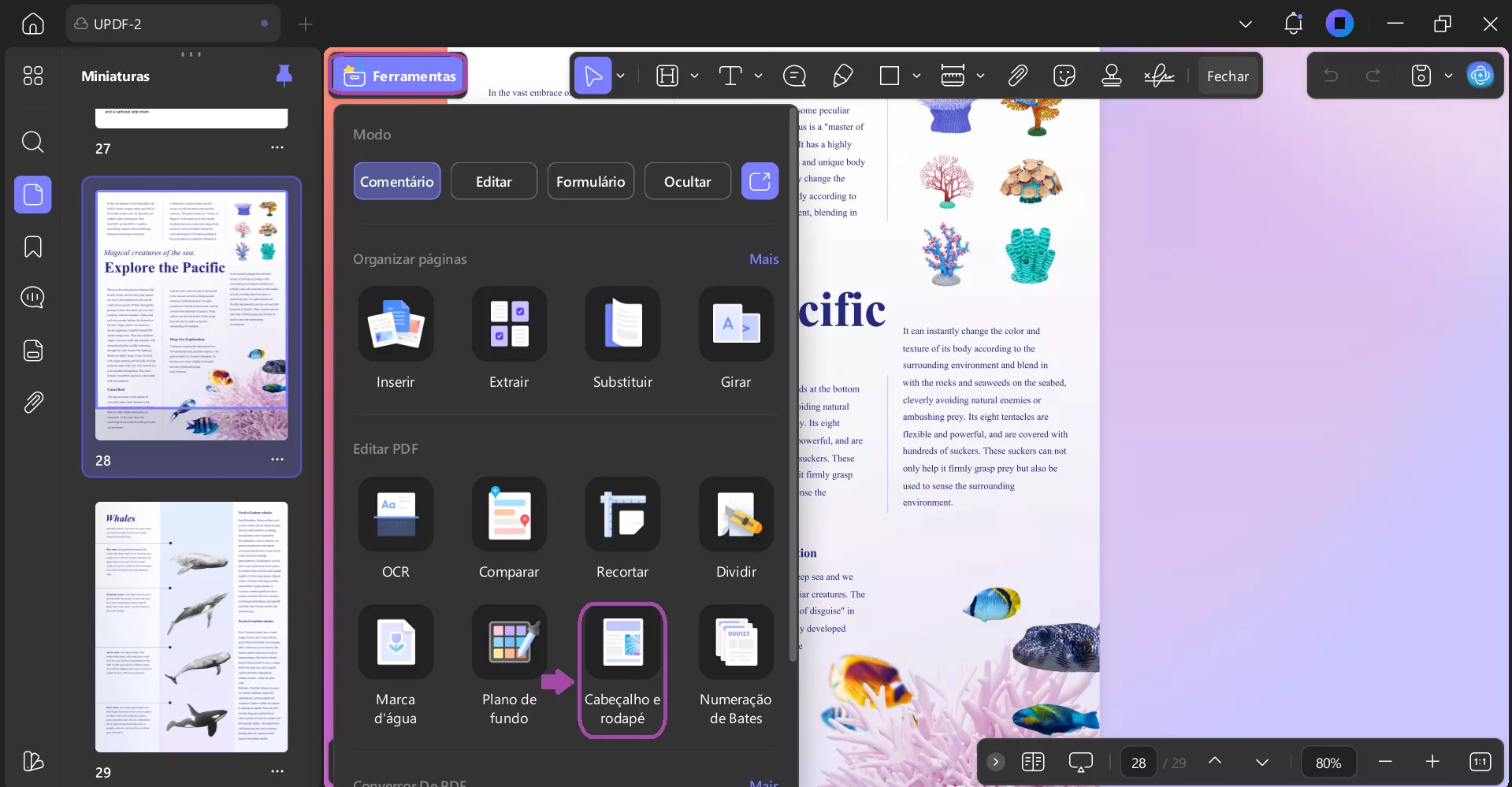 cabeçalho e rodapé