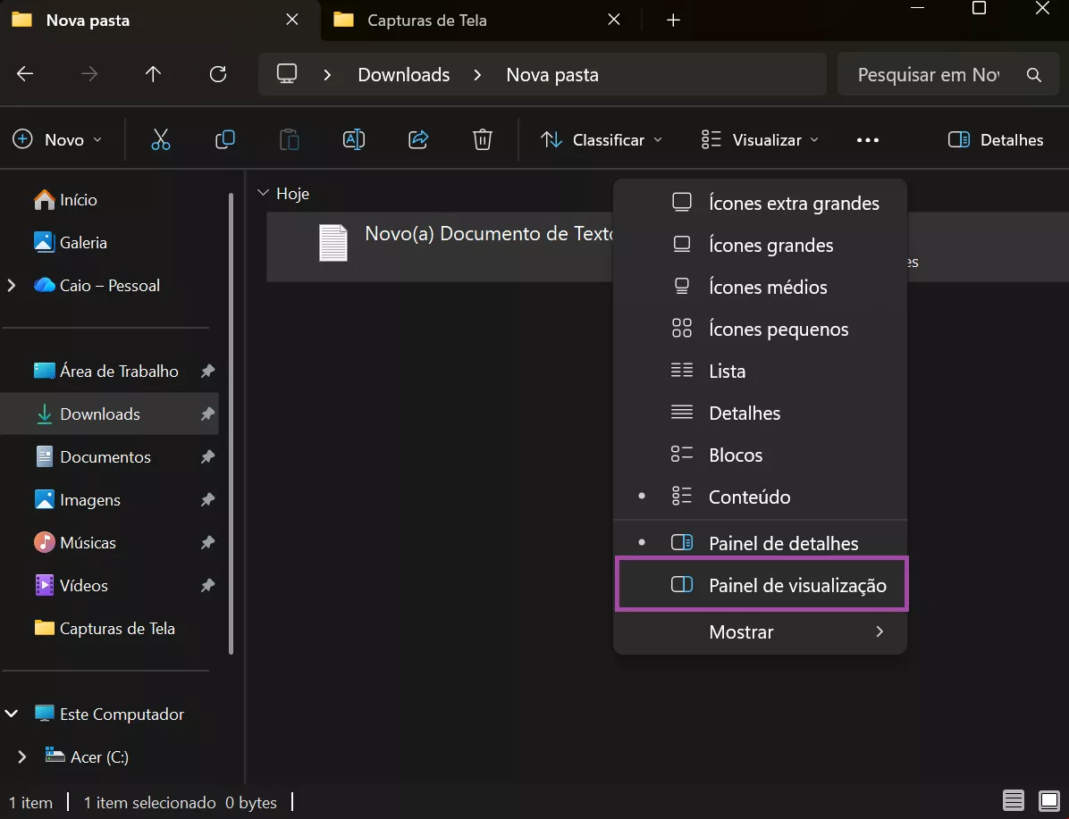 Clique em 'Exibir' e habilite o 'Painel de Visualização
