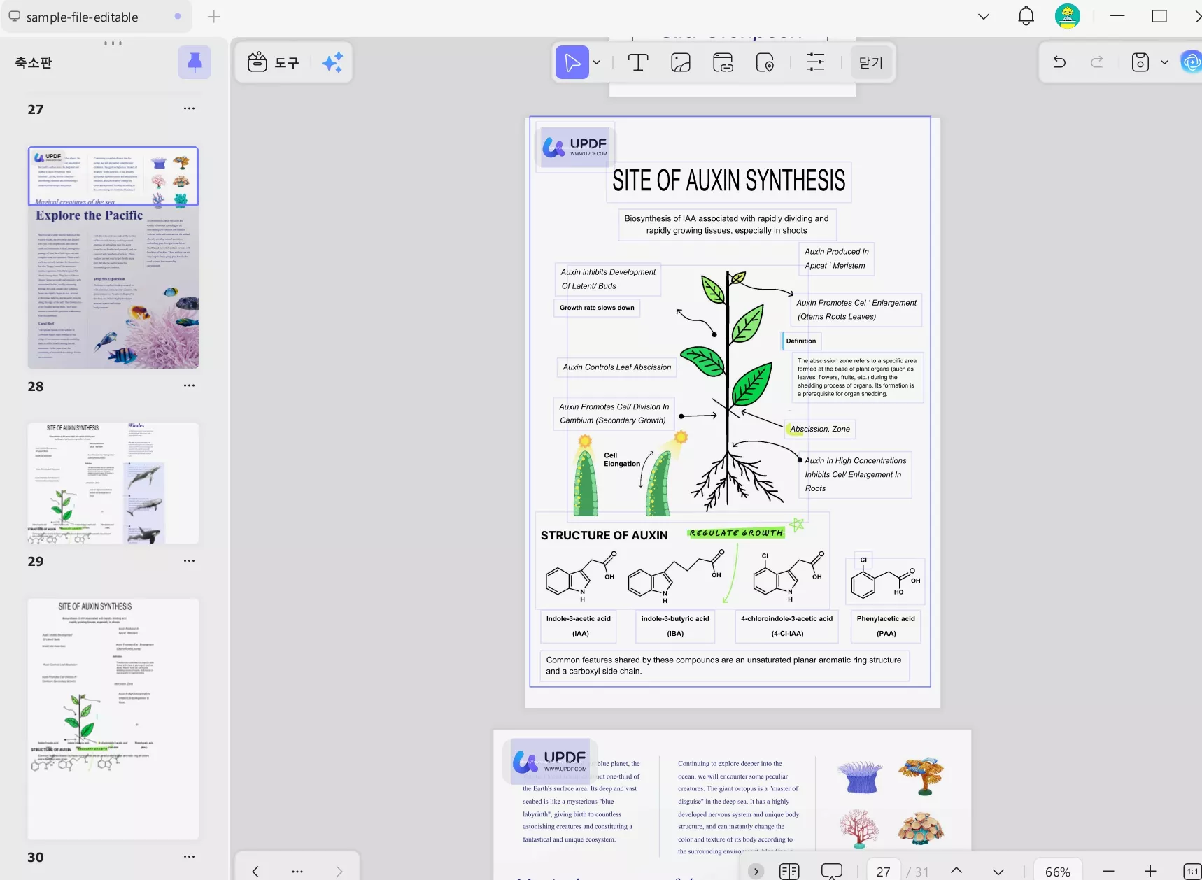PDF 여러 페이지 한 페이지로 합치는 방법