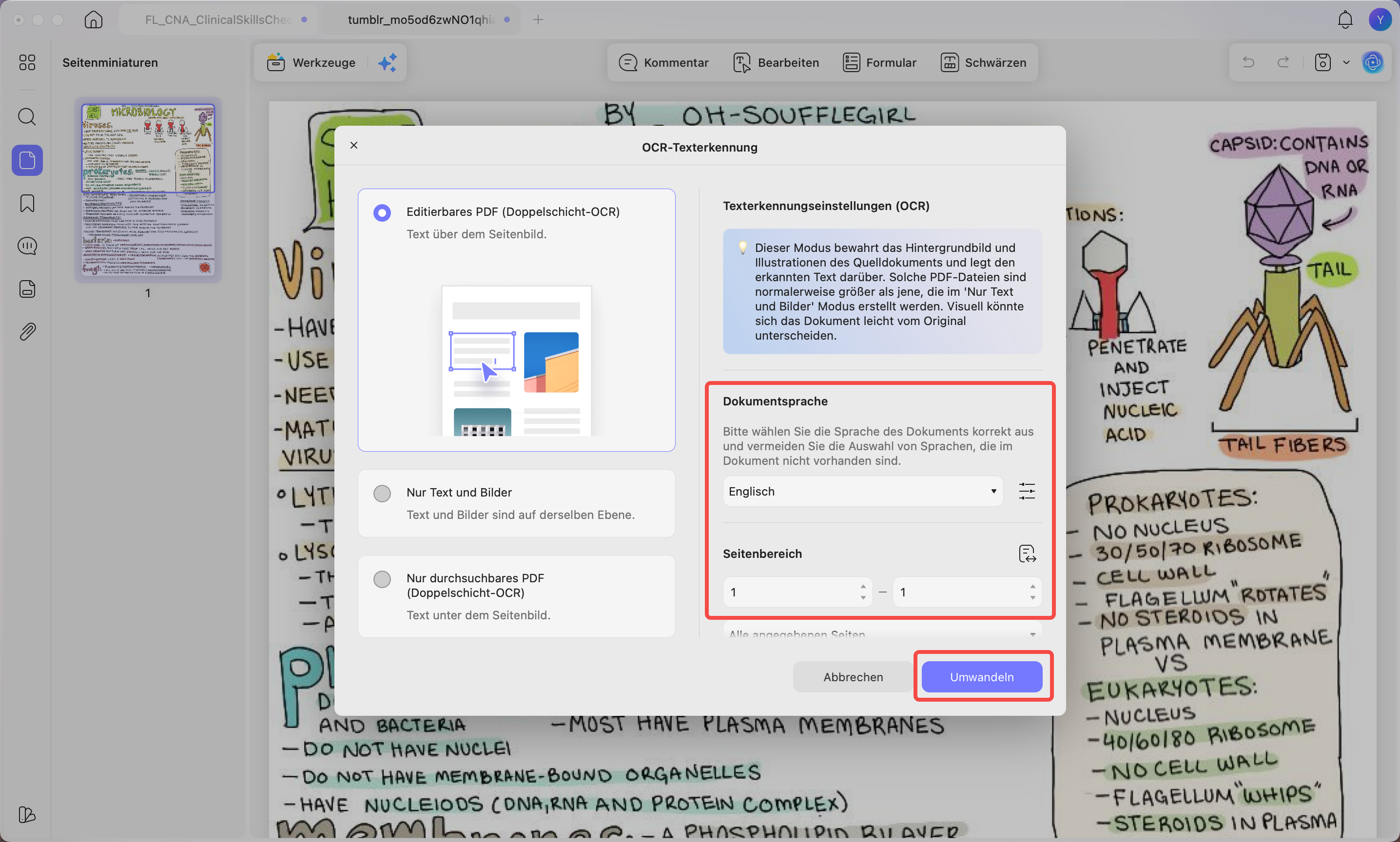 PDF im OCR-Modus konvertieren
