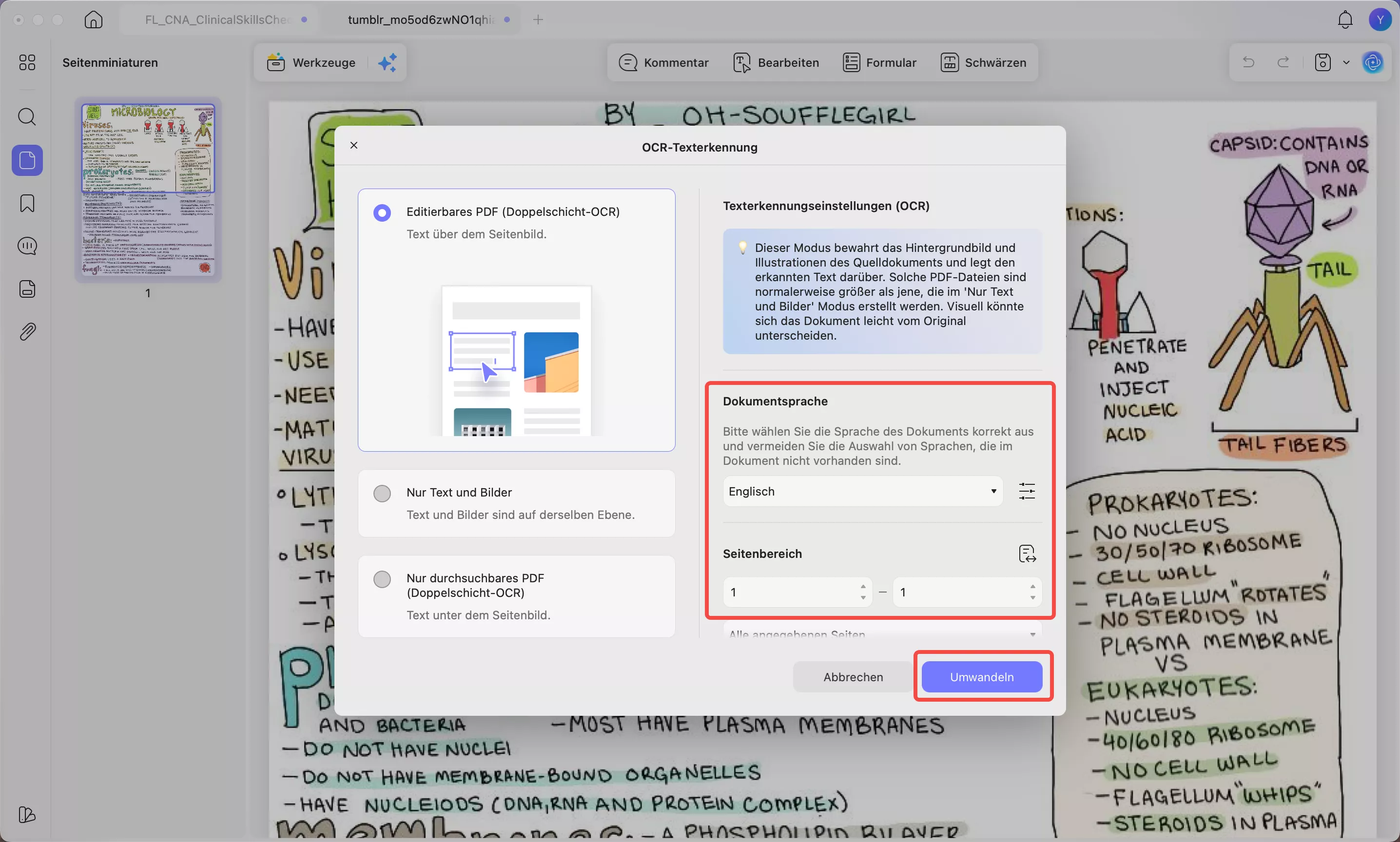 PDF im OCR-Modus konvertieren